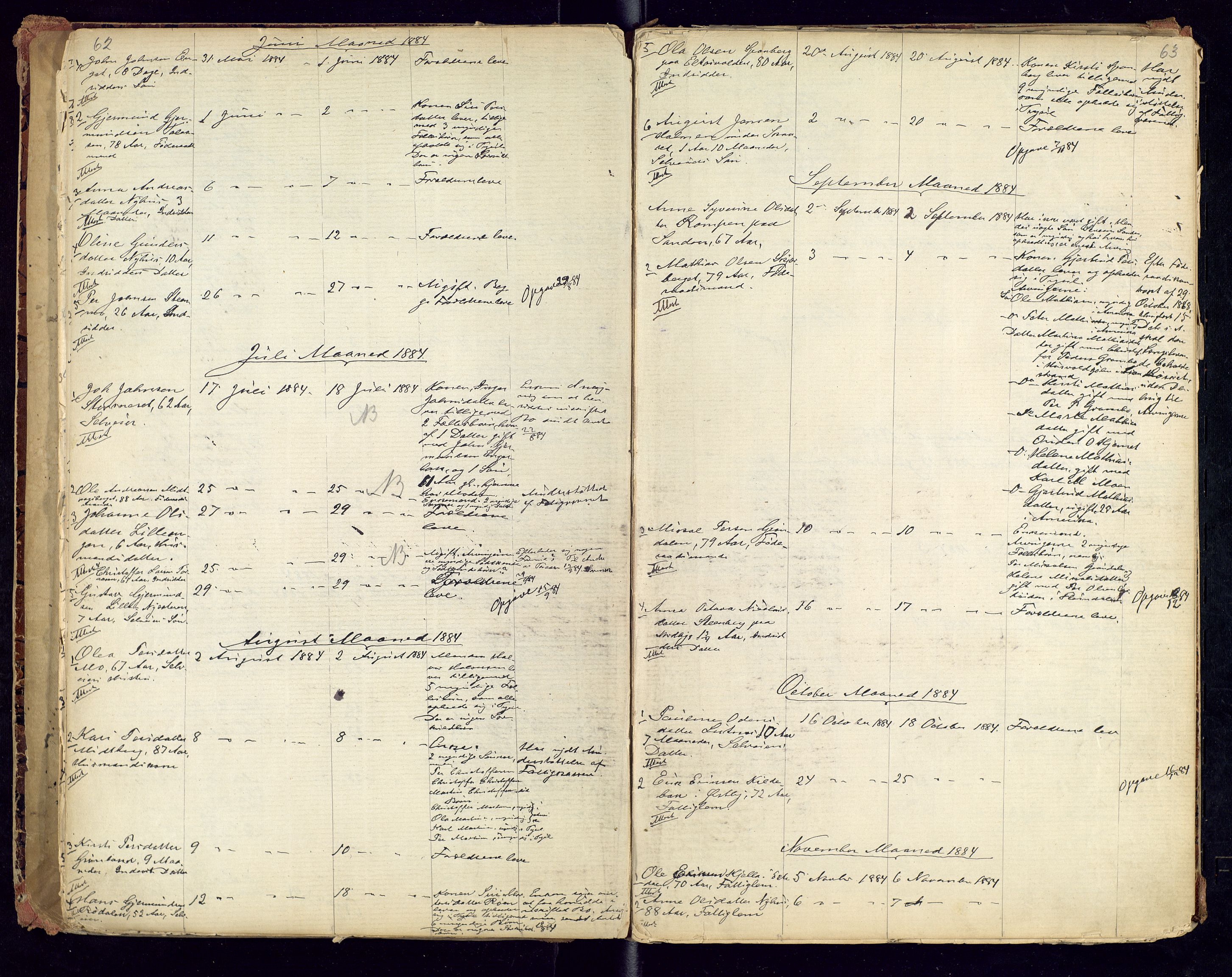 Trysil lensmannskontor, AV/SAH-LHT-026/H/Ha/L0001: Dødsfallsprotokoll, 1875-1901, s. 62-63