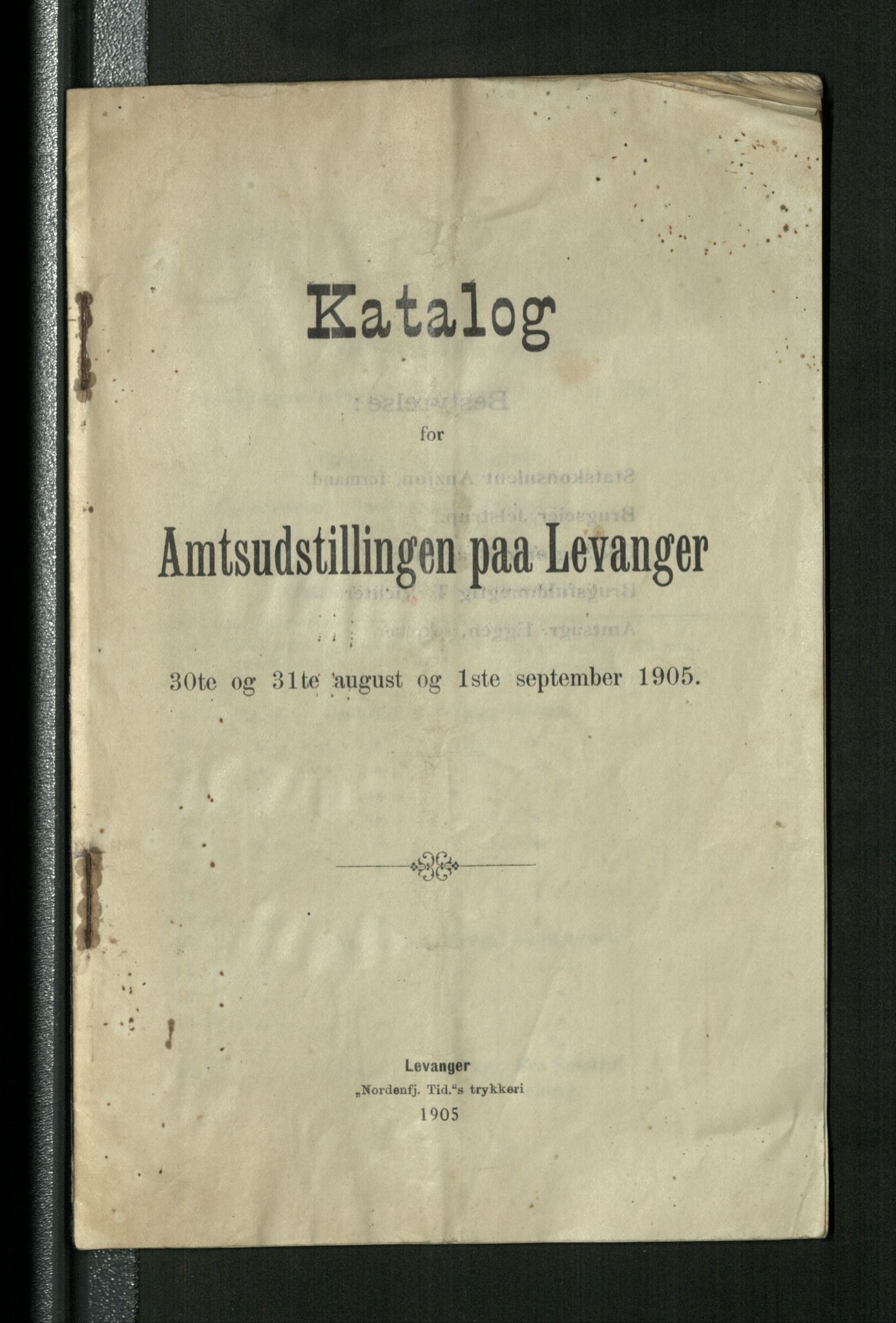 Bård Toldnes samling - lokalia fra Levanger, TIKA/PA-1549/G/L0009: Amtutstillingen 1905, 1905