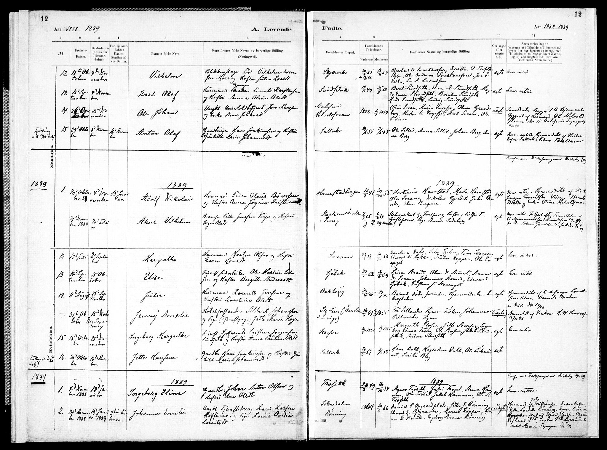 Ministerialprotokoller, klokkerbøker og fødselsregistre - Nord-Trøndelag, AV/SAT-A-1458/733/L0325: Ministerialbok nr. 733A04, 1884-1908, s. 12