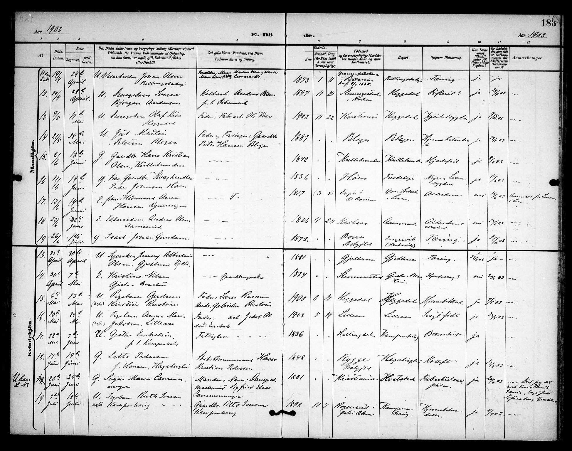 Asker prestekontor Kirkebøker, AV/SAO-A-10256a/F/Fa/L0015: Ministerialbok nr. I 15, 1896-1915, s. 183