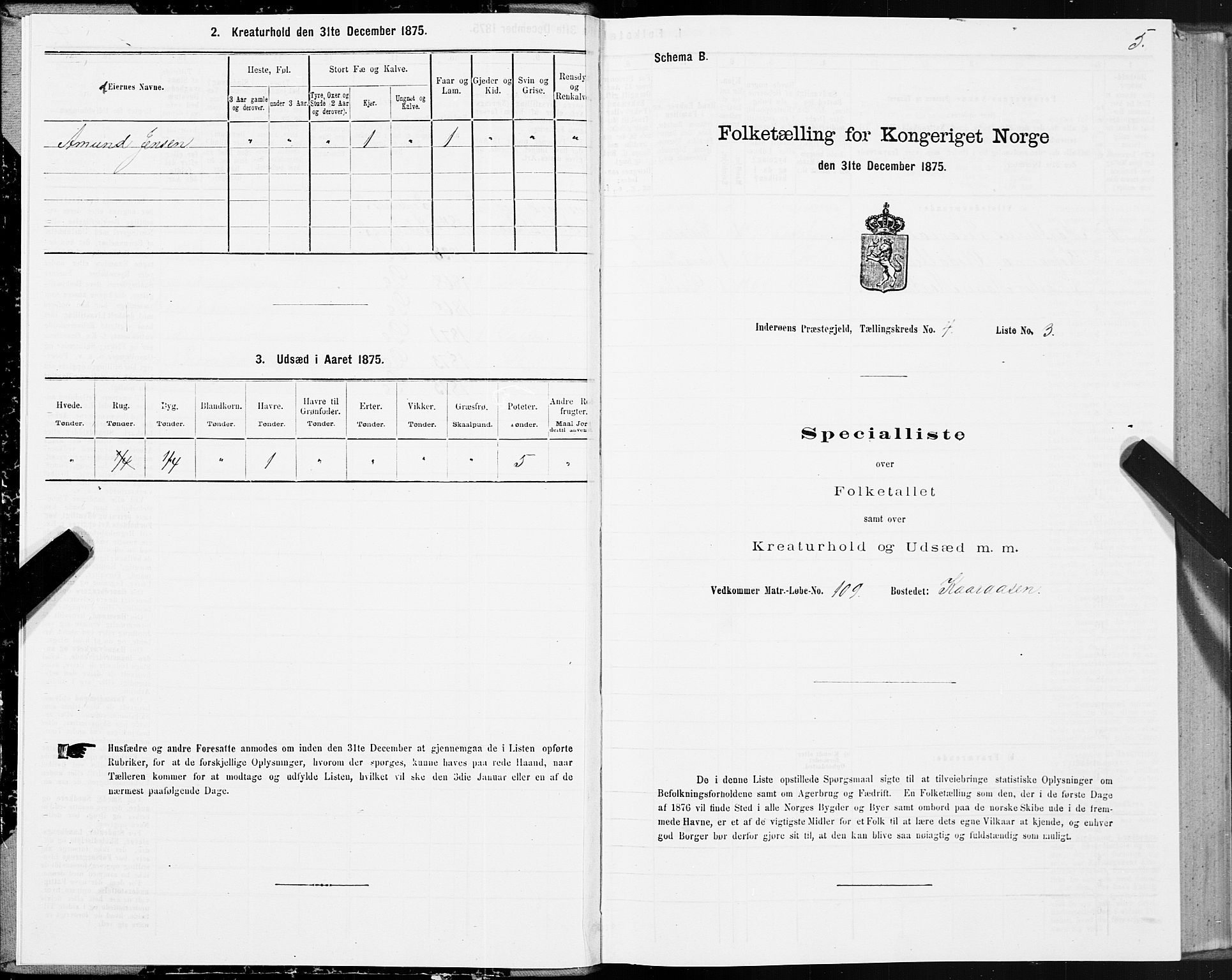 SAT, Folketelling 1875 for 1729P Inderøy prestegjeld, 1875, s. 3005