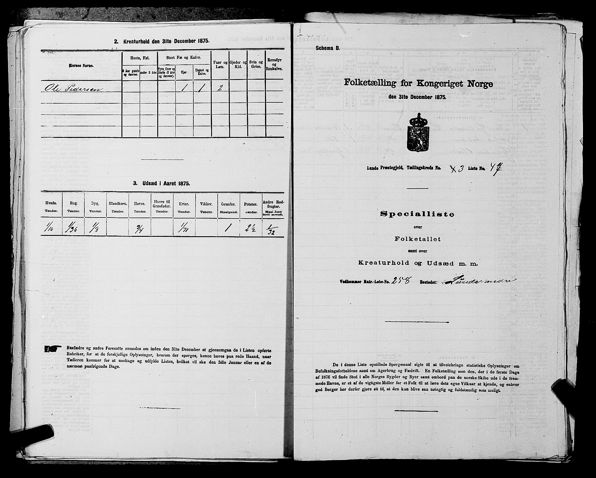 SAKO, Folketelling 1875 for 0820P Lunde prestegjeld, 1875, s. 450