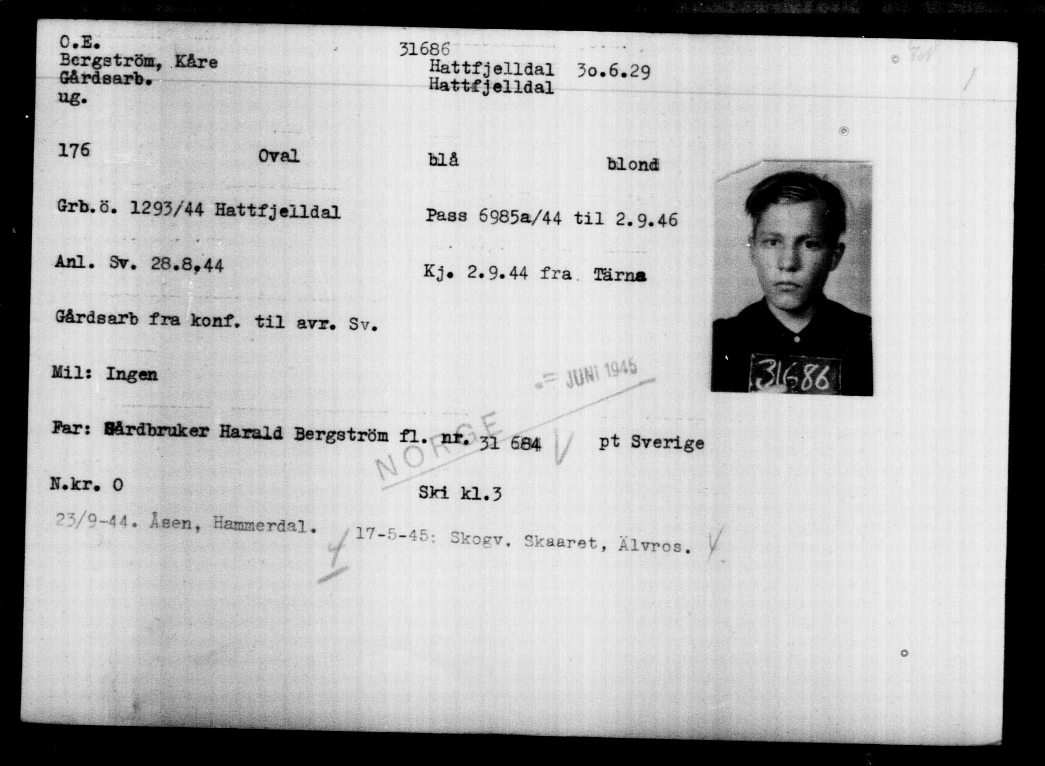 Den Kgl. Norske Legasjons Flyktningskontor, AV/RA-S-6753/V/Va/L0013: Kjesäterkartoteket.  Flyktningenr. 31500-34731, 1940-1945, s. 202