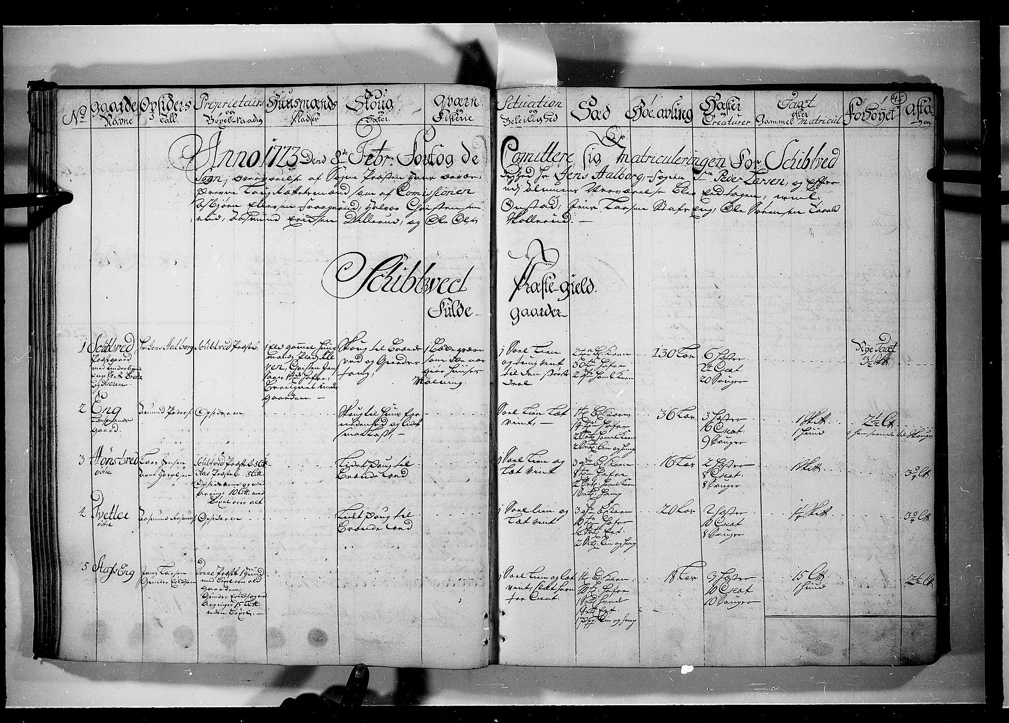 Rentekammeret inntil 1814, Realistisk ordnet avdeling, AV/RA-EA-4070/N/Nb/Nbf/L0099: Rakkestad, Heggen og Frøland eksaminasjonsprotokoll, 1723, s. 44b-45a