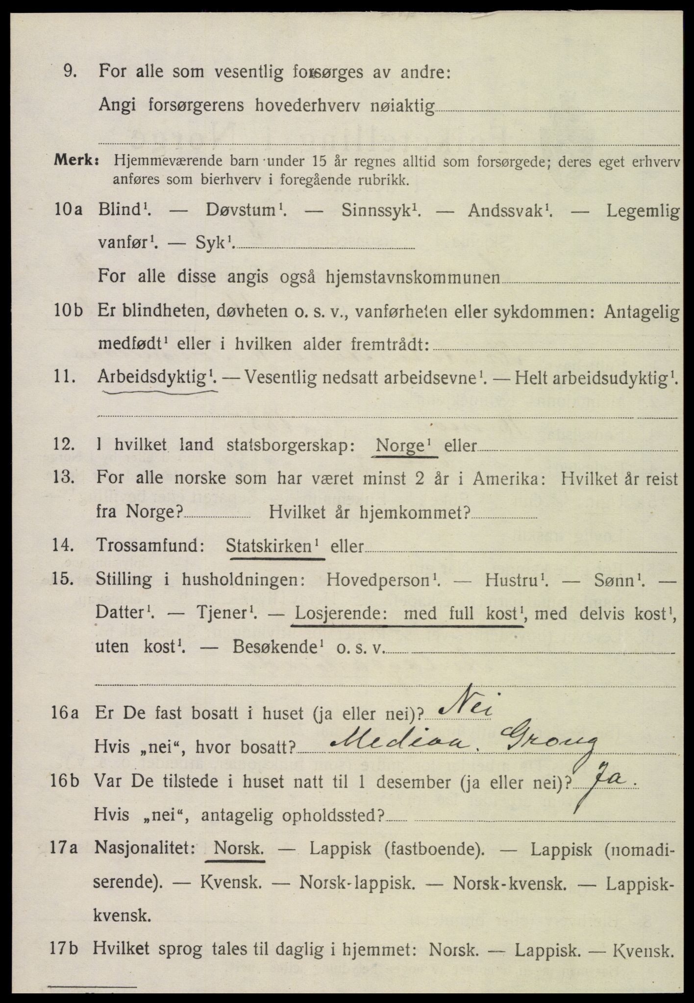 SAT, Folketelling 1920 for 1736 Snåsa herred, 1920, s. 1517