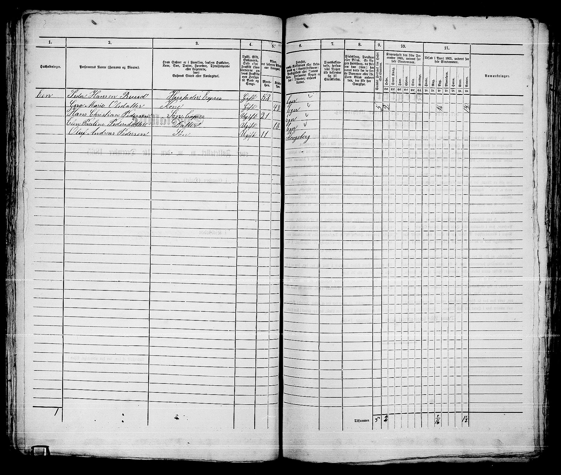 RA, Folketelling 1865 for 0604B Kongsberg prestegjeld, Kongsberg kjøpstad, 1865, s. 1117