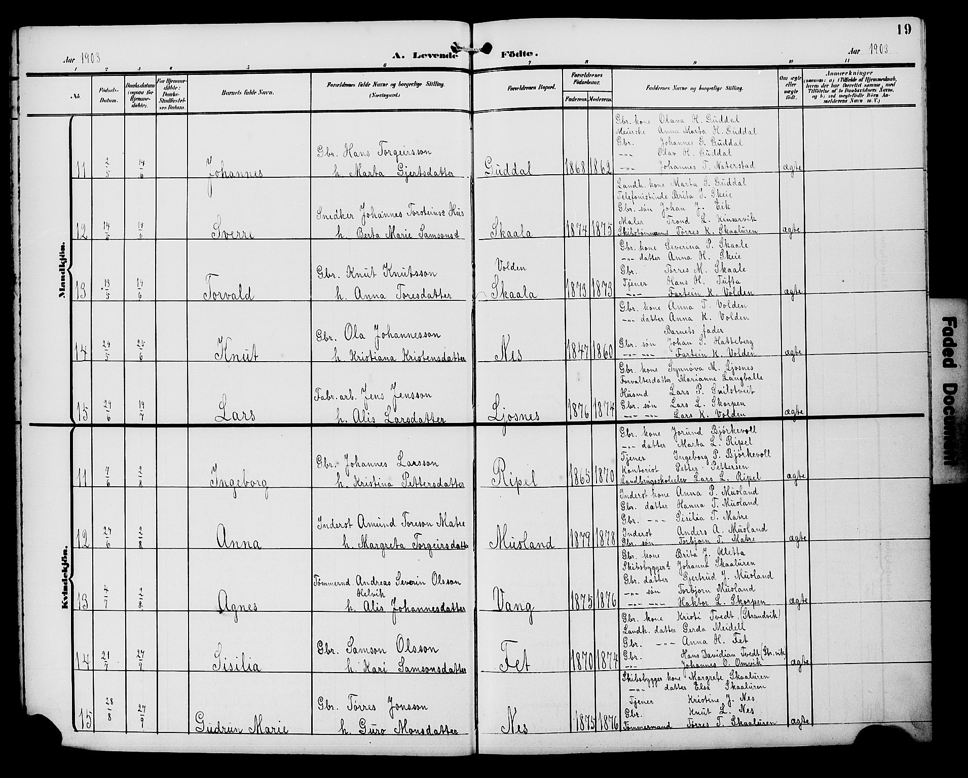 Kvinnherad sokneprestembete, AV/SAB-A-76401/H/Hab: Klokkerbok nr. A 2A, 1901-1911, s. 19