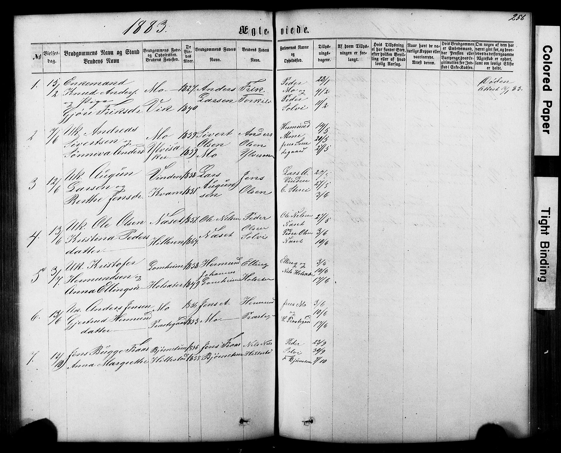 Hafslo sokneprestembete, AV/SAB-A-80301/H/Hab/Haba/L0001: Klokkerbok nr. A 1, 1866-1908, s. 256