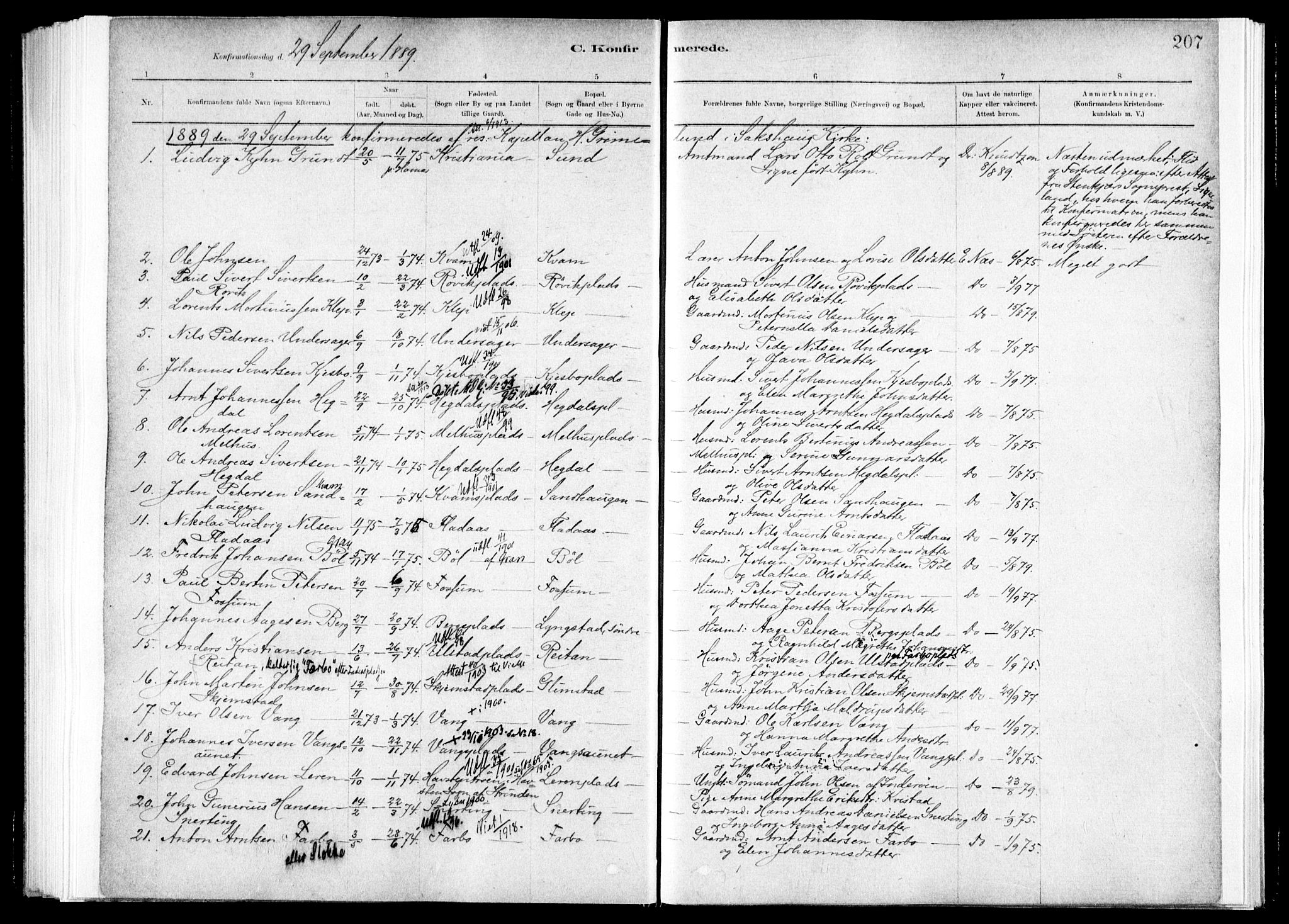 Ministerialprotokoller, klokkerbøker og fødselsregistre - Nord-Trøndelag, AV/SAT-A-1458/730/L0285: Ministerialbok nr. 730A10, 1879-1914, s. 207