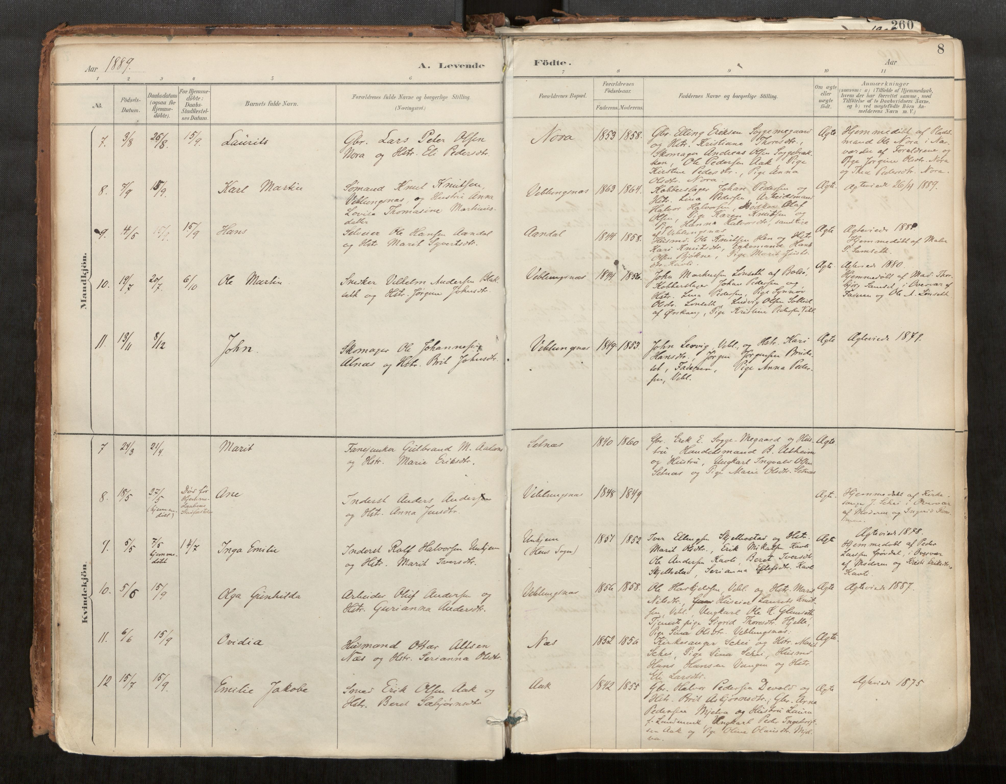 Ministerialprotokoller, klokkerbøker og fødselsregistre - Møre og Romsdal, AV/SAT-A-1454/544/L0585: Ministerialbok nr. 544A06, 1887-1924, s. 8