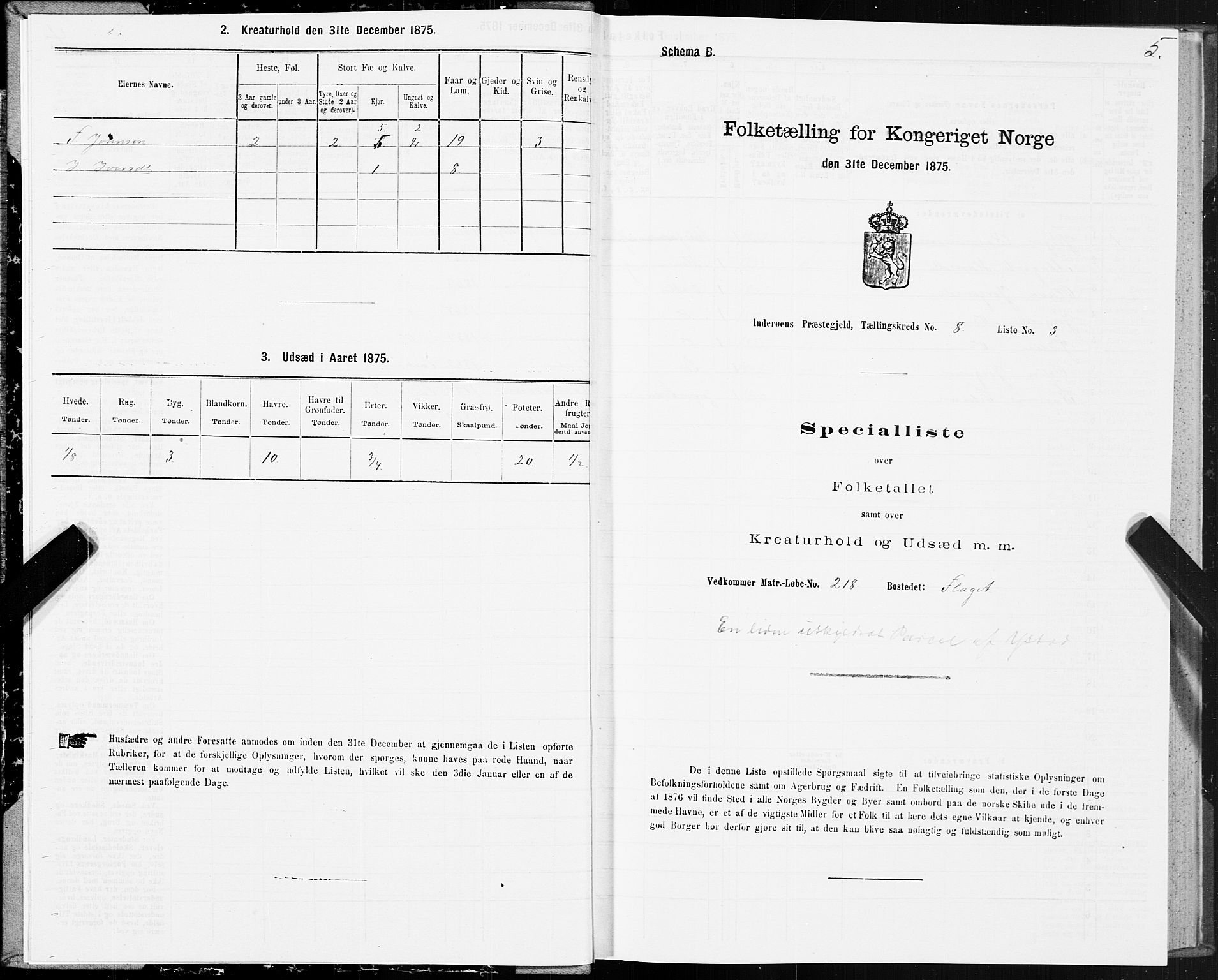 SAT, Folketelling 1875 for 1729P Inderøy prestegjeld, 1875, s. 5005