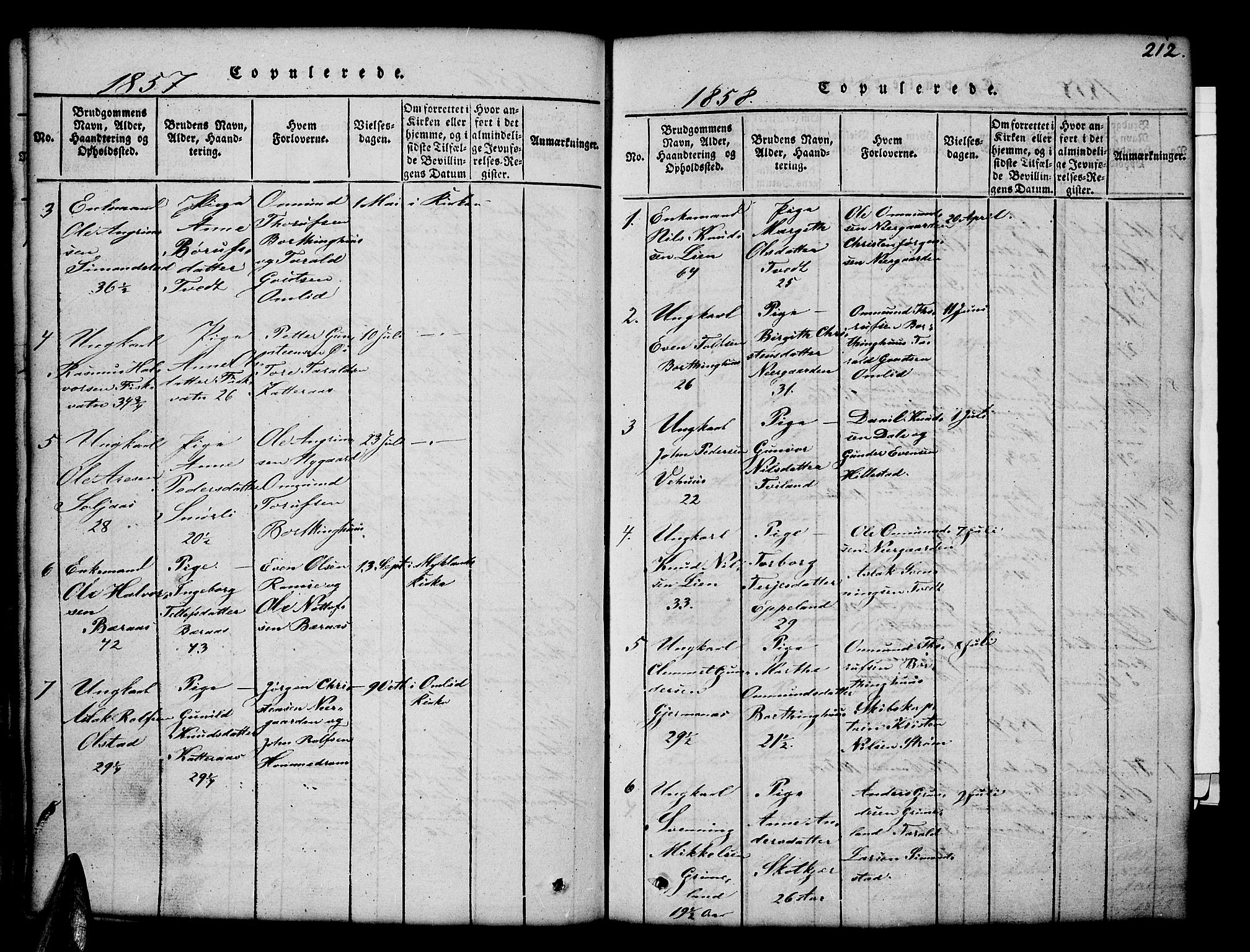 Åmli sokneprestkontor, SAK/1111-0050/F/Fb/Fbc/L0001: Klokkerbok nr. B 1, 1816-1867, s. 212