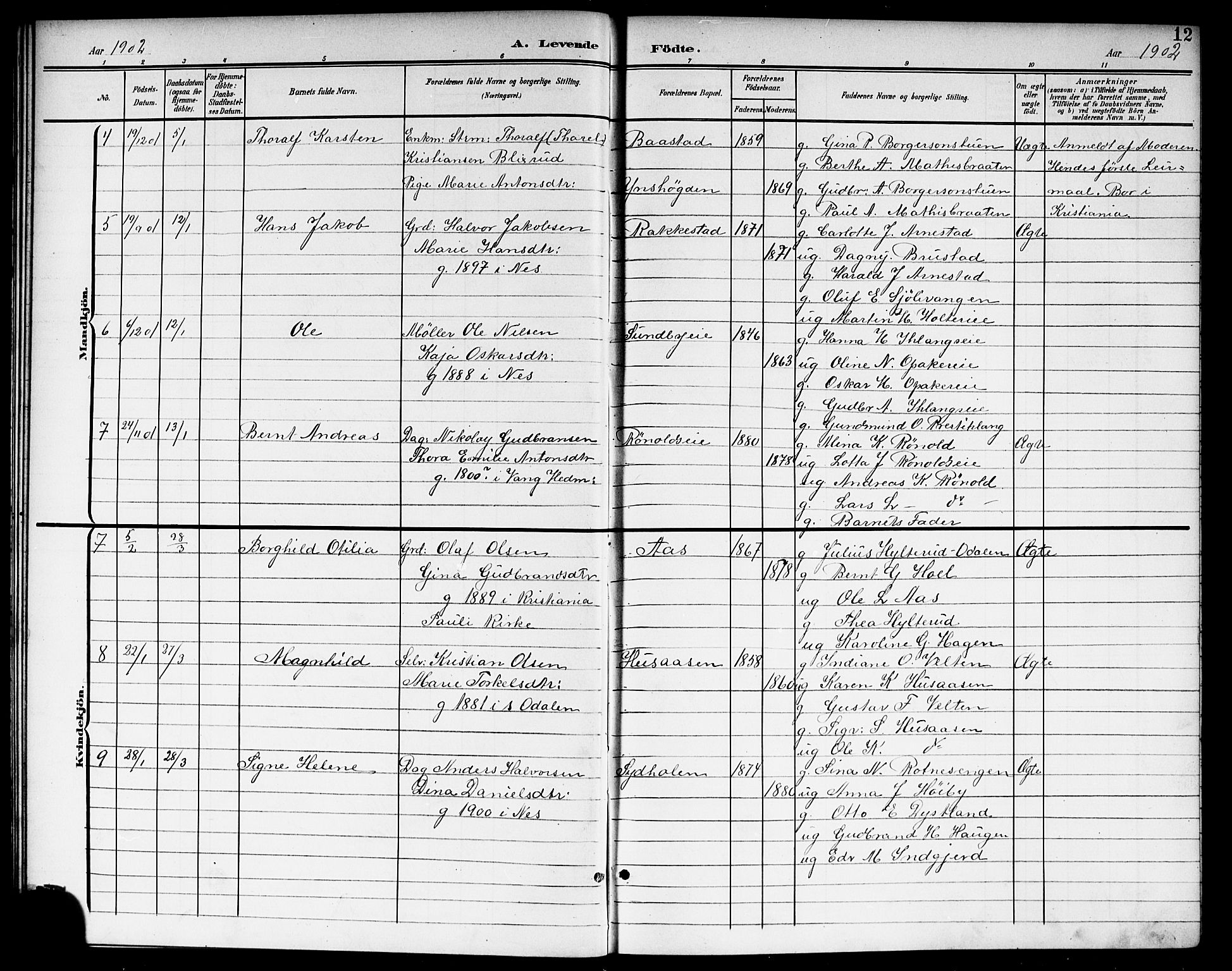 Nes prestekontor Kirkebøker, AV/SAO-A-10410/G/Ga/L0002: Klokkerbok nr. I 2, 1901-1912, s. 12