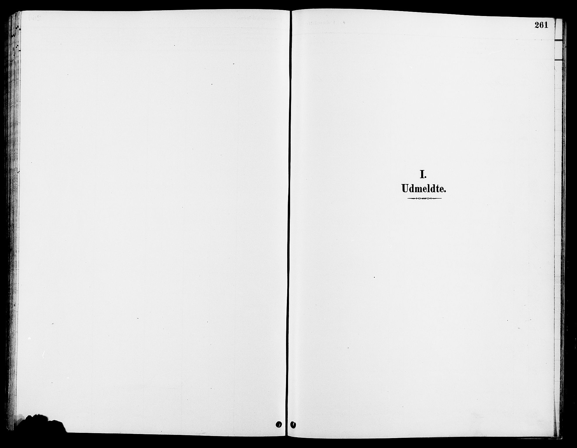 Tolga prestekontor, SAH/PREST-062/L/L0008: Klokkerbok nr. 8, 1887-1912, s. 261
