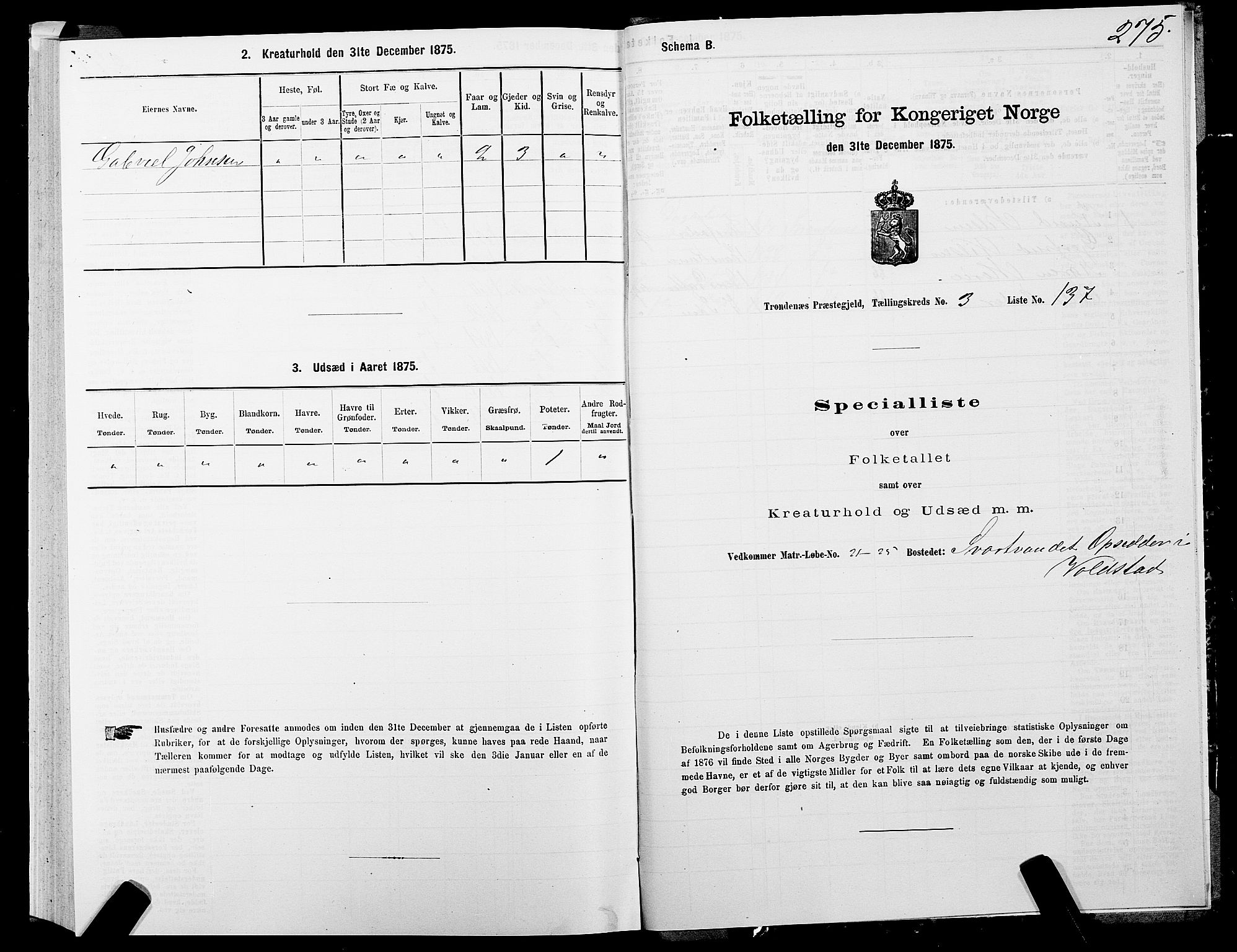 SATØ, Folketelling 1875 for 1914P Trondenes prestegjeld, 1875, s. 3275