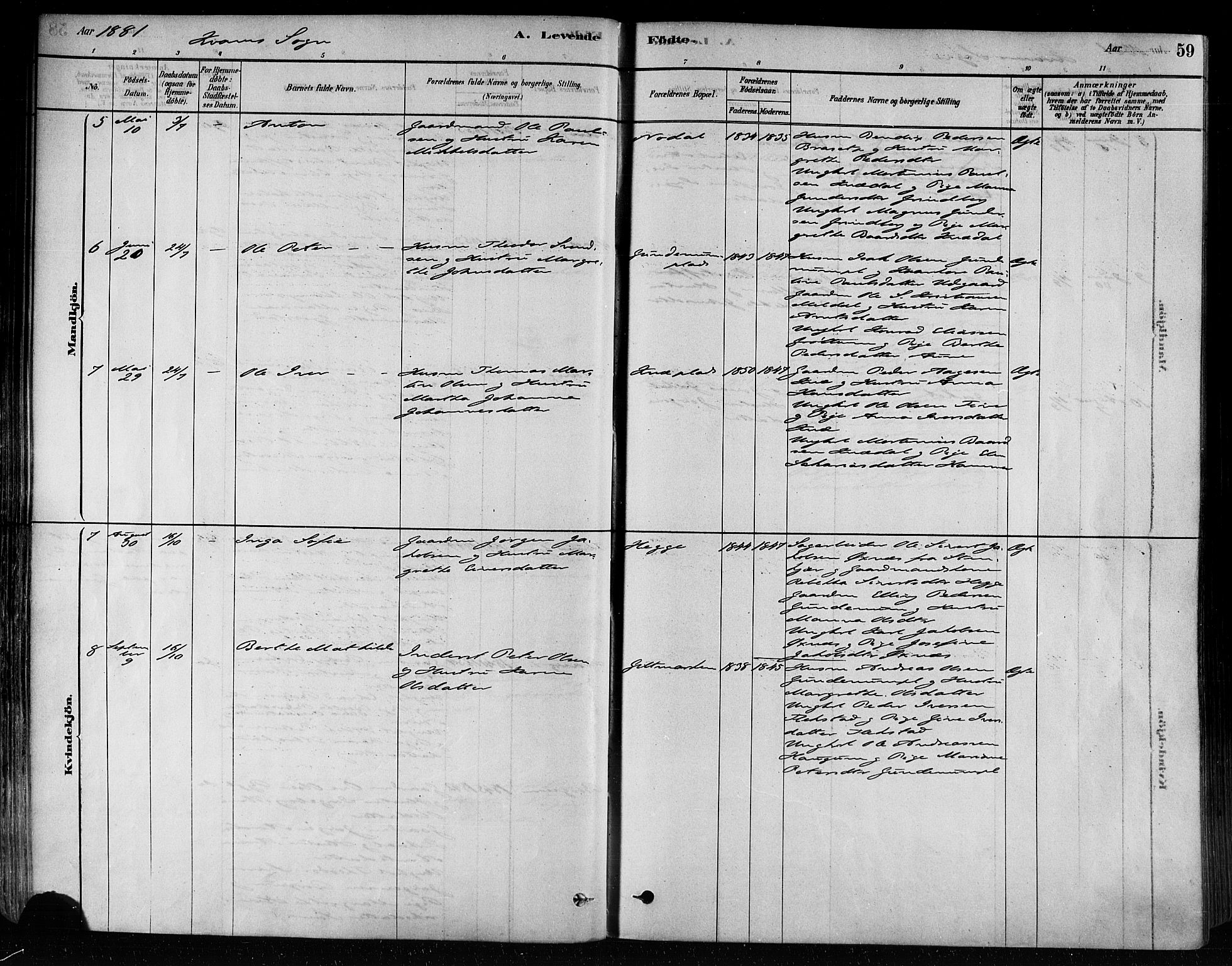 Ministerialprotokoller, klokkerbøker og fødselsregistre - Nord-Trøndelag, SAT/A-1458/746/L0449: Ministerialbok nr. 746A07 /2, 1878-1899, s. 59