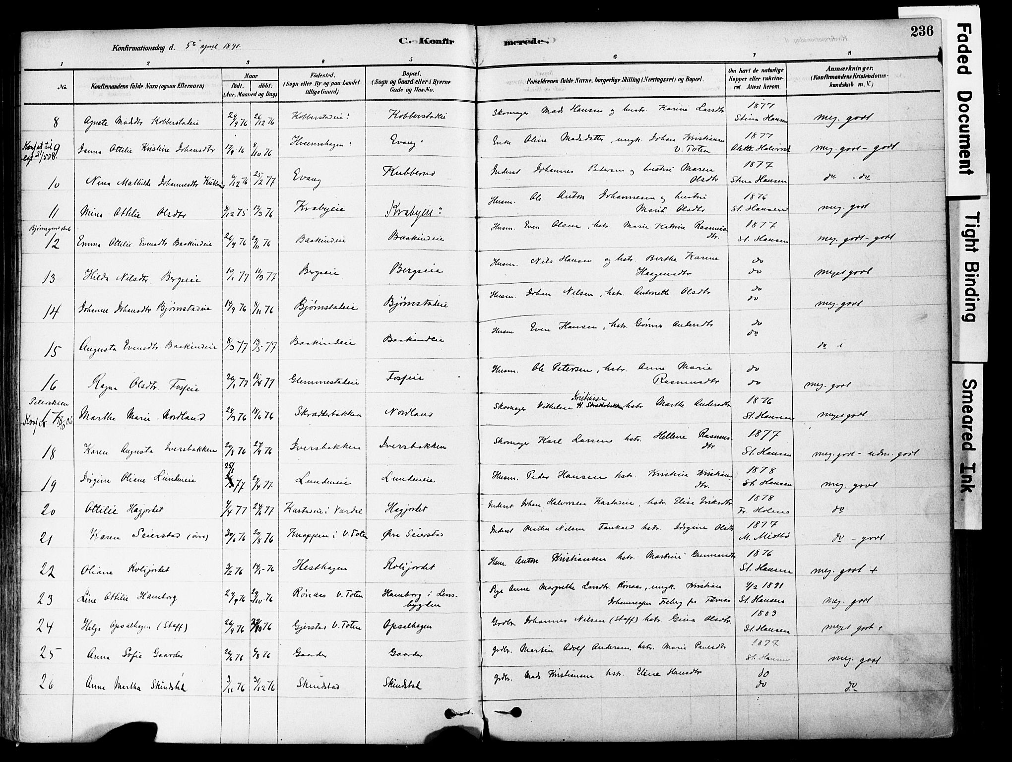 Østre Toten prestekontor, AV/SAH-PREST-104/H/Ha/Haa/L0006: Ministerialbok nr. 6 /1, 1878-1896, s. 236