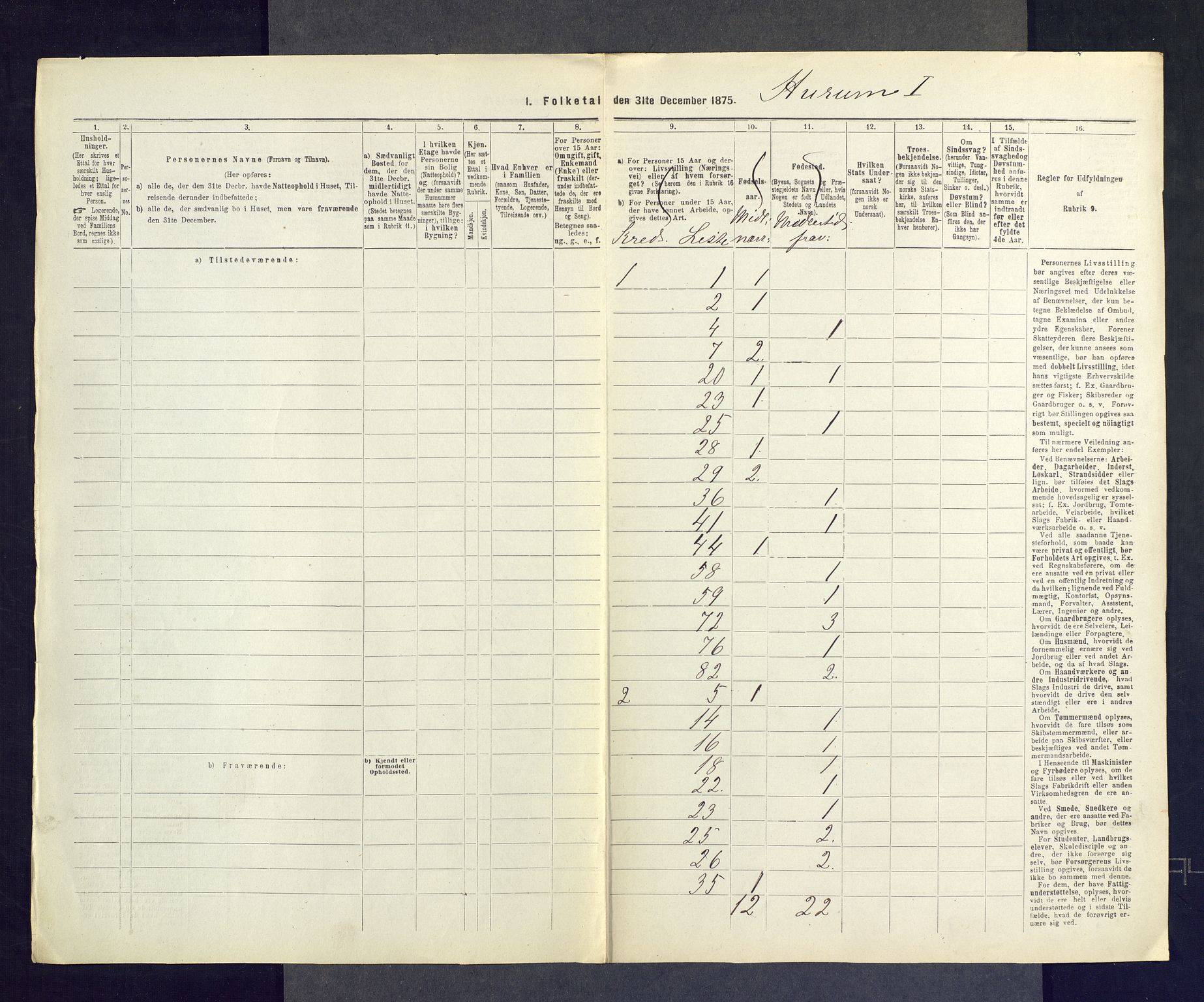 SAKO, Folketelling 1875 for 0628L Hurum prestegjeld, Hurum sokn, 1875, s. 29