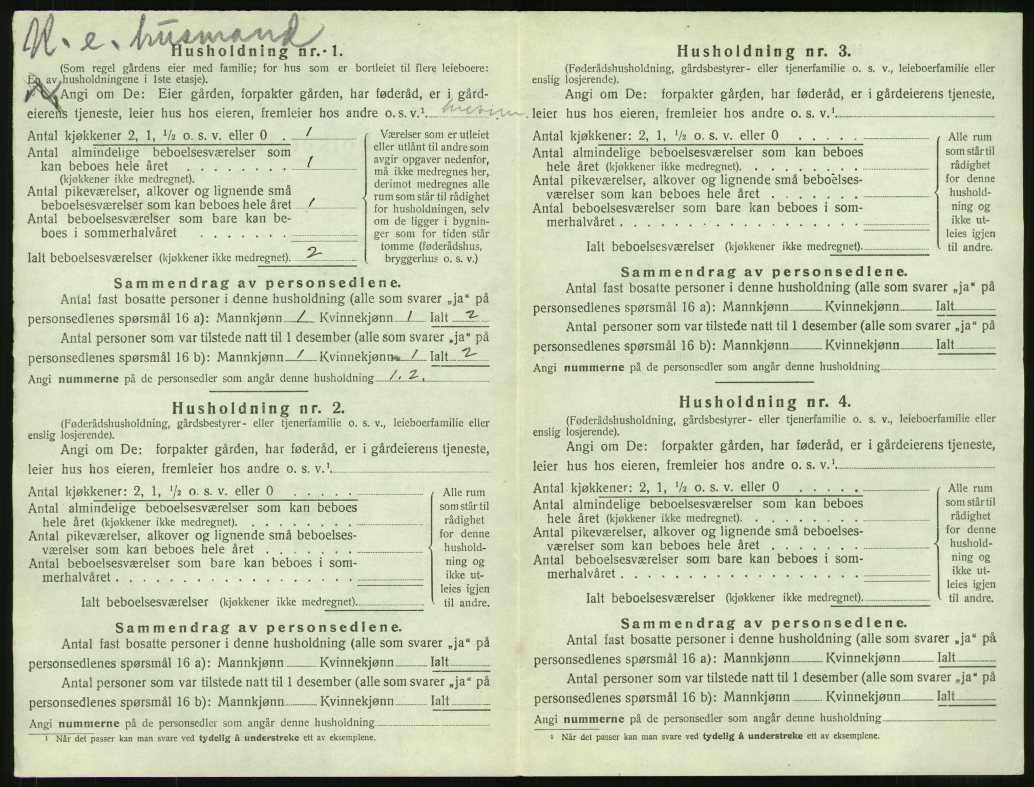 SAT, Folketelling 1920 for 1535 Vestnes herred, 1920, s. 1040