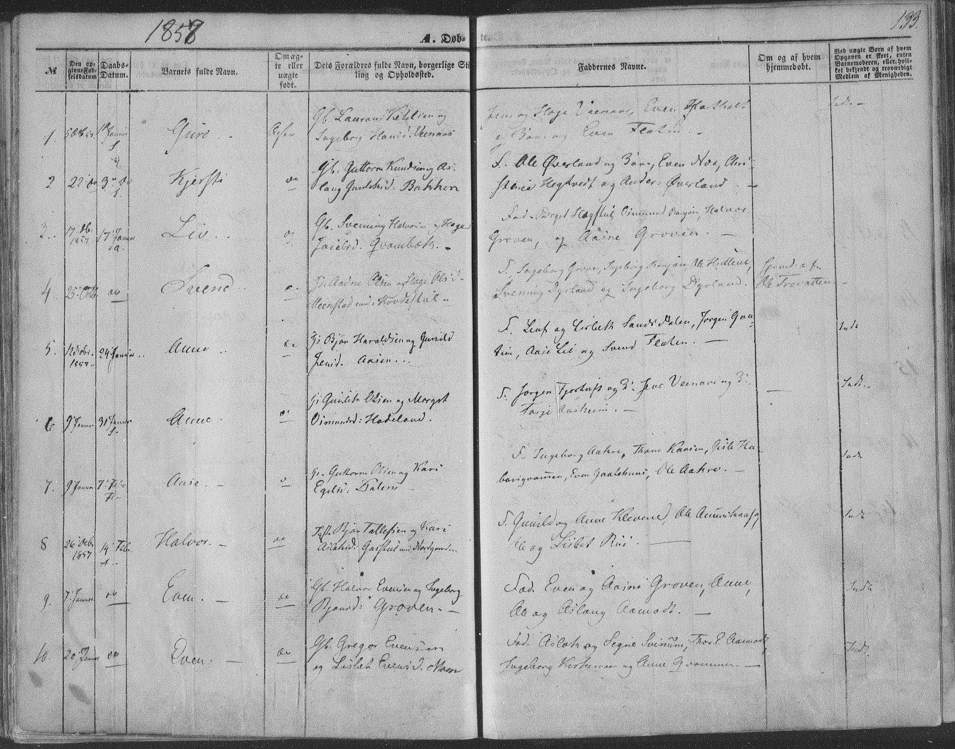 Seljord kirkebøker, SAKO/A-20/F/Fa/L012a: Ministerialbok nr. I 12A, 1850-1865, s. 133