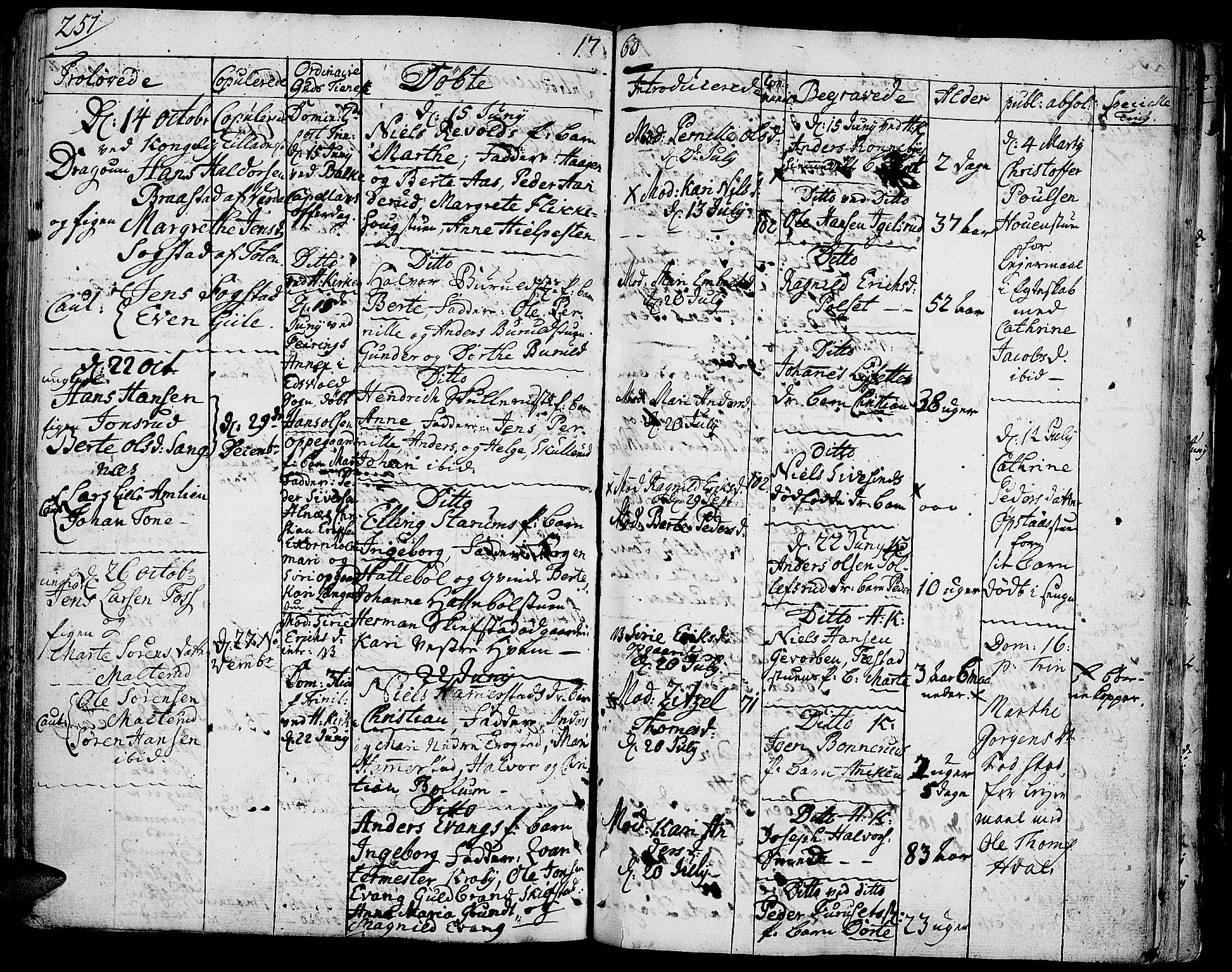 Toten prestekontor, AV/SAH-PREST-102/H/Ha/Haa/L0004: Ministerialbok nr. 4, 1751-1761, s. 251