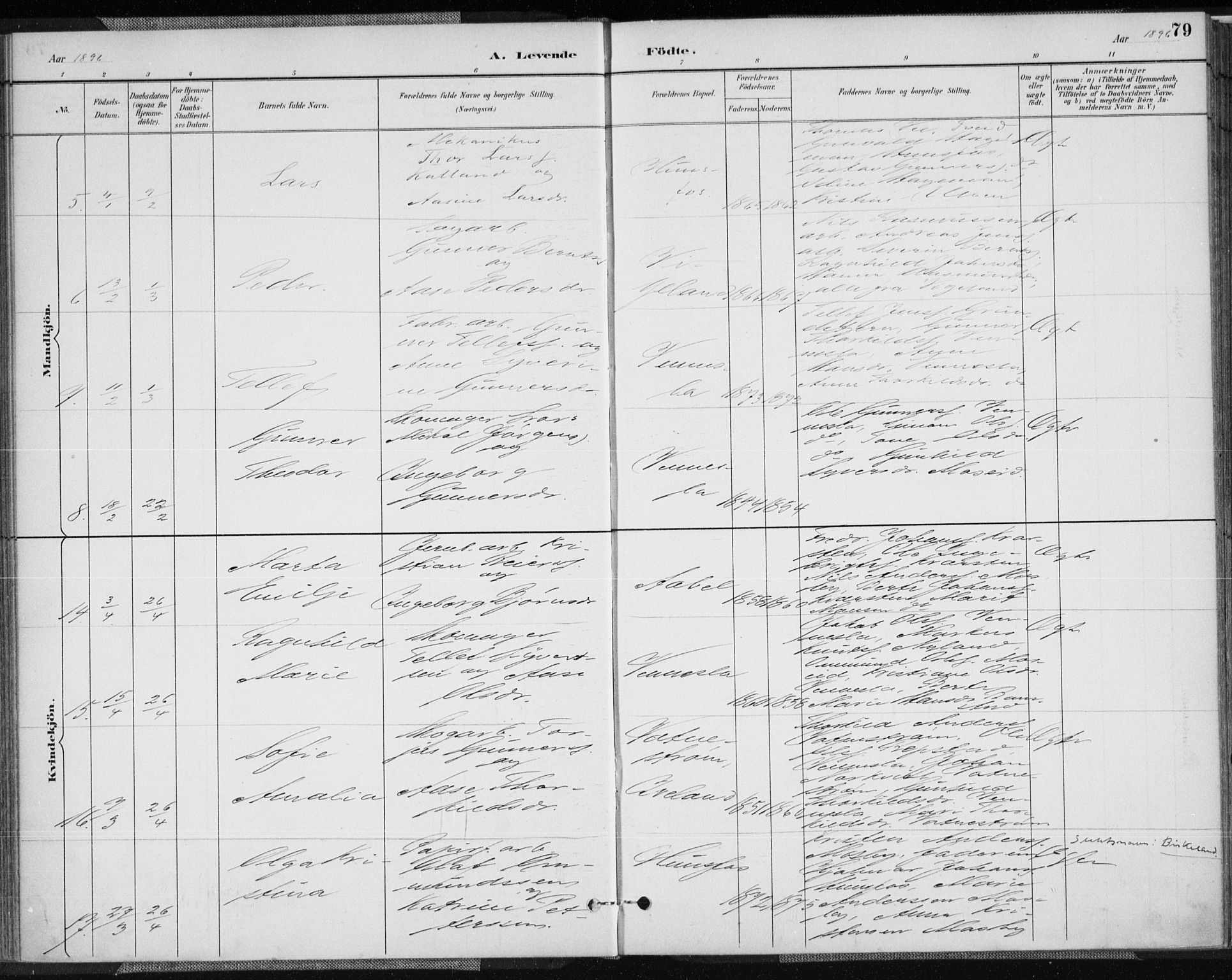 Vennesla sokneprestkontor, AV/SAK-1111-0045/Fa/Fab/L0004: Ministerialbok nr. A 4, 1884-1896, s. 79
