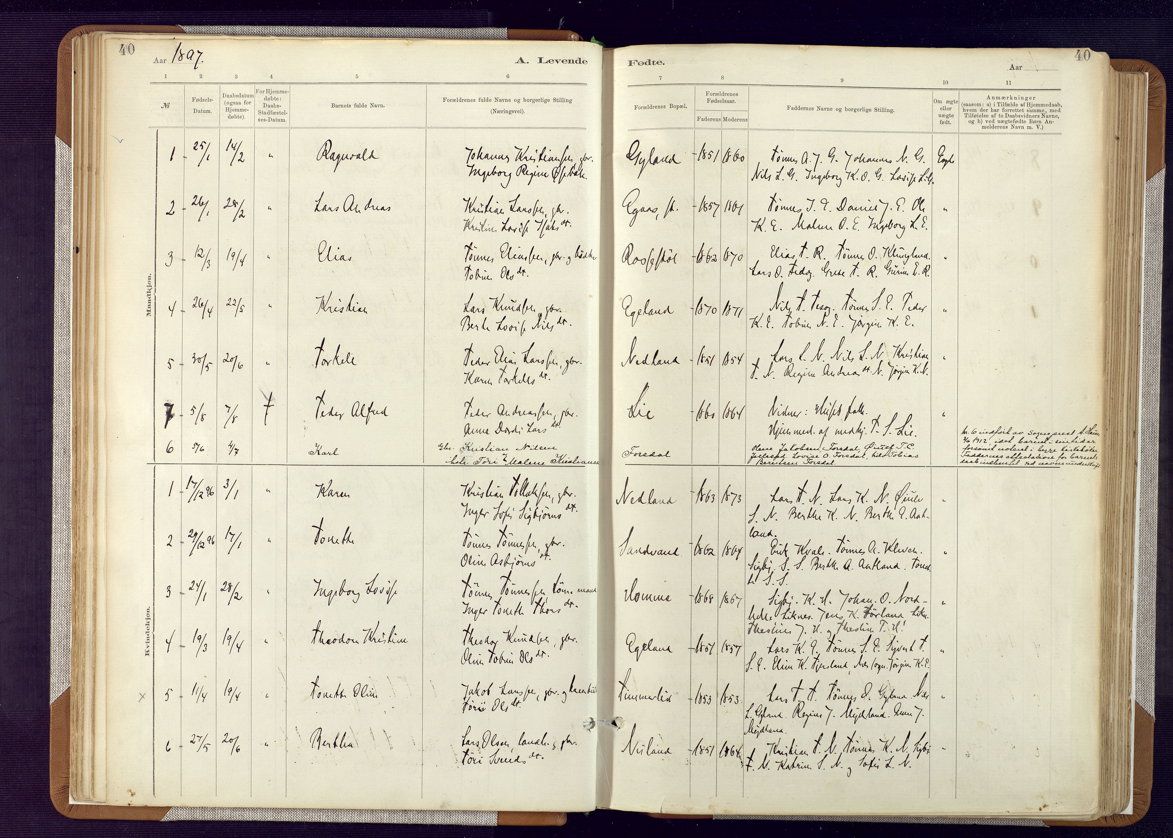 Bakke sokneprestkontor, AV/SAK-1111-0002/F/Fa/Fab/L0003: Ministerialbok nr. A 3, 1884-1921, s. 40