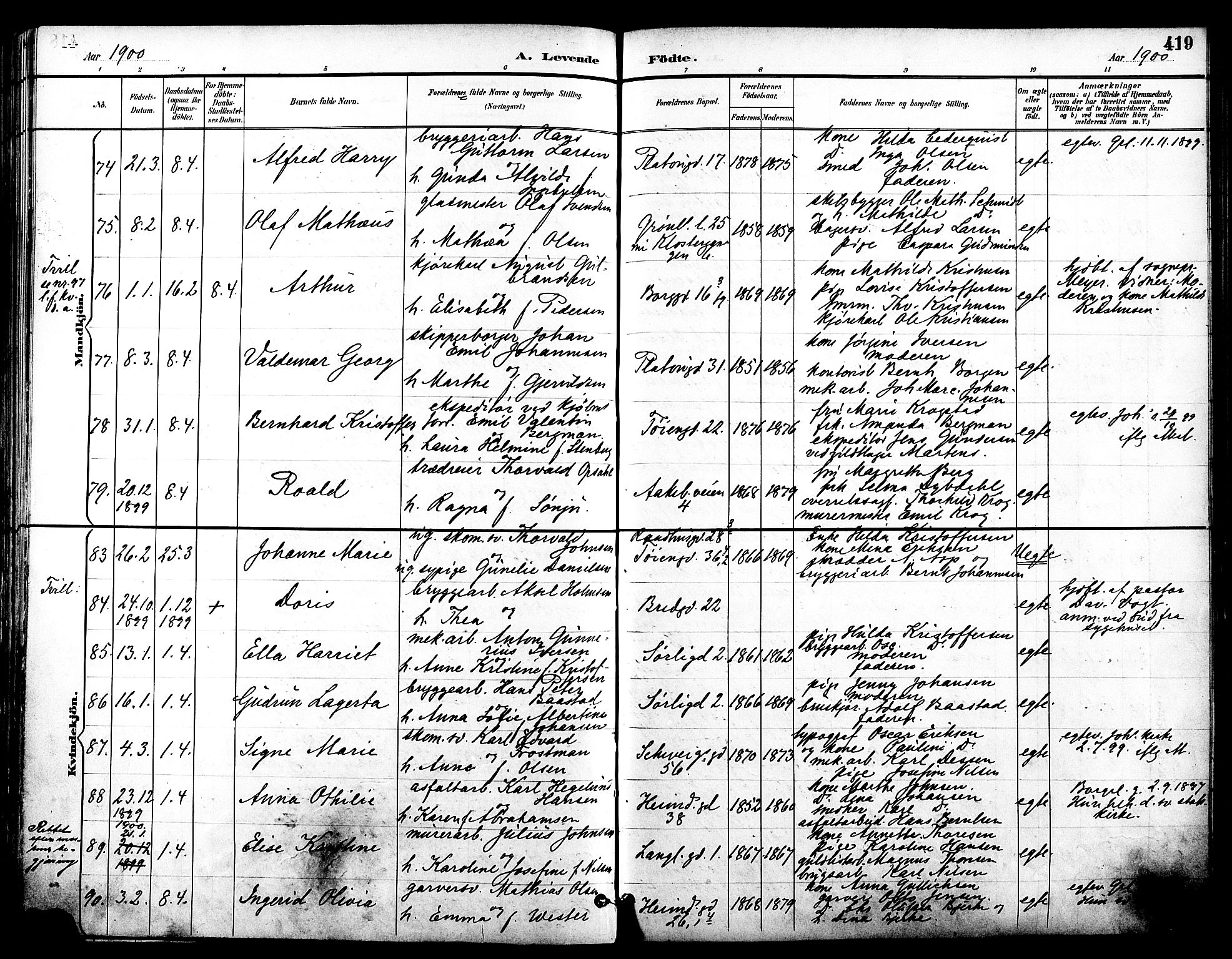 Grønland prestekontor Kirkebøker, AV/SAO-A-10848/F/Fa/L0012: Ministerialbok nr. 12, 1893-1900, s. 419
