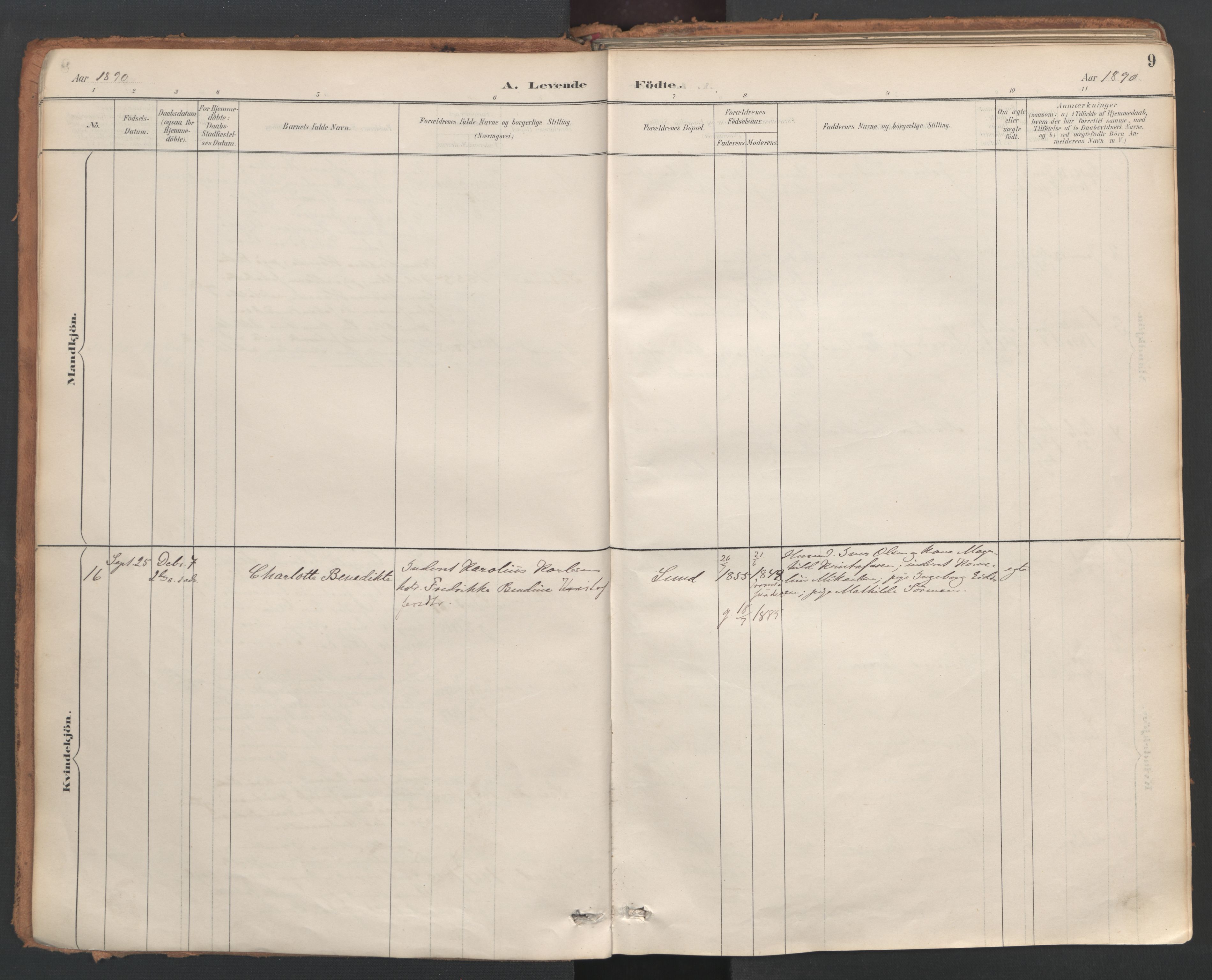 Ministerialprotokoller, klokkerbøker og fødselsregistre - Nordland, AV/SAT-A-1459/857/L0822: Ministerialbok nr. 857A02, 1890-1917, s. 9