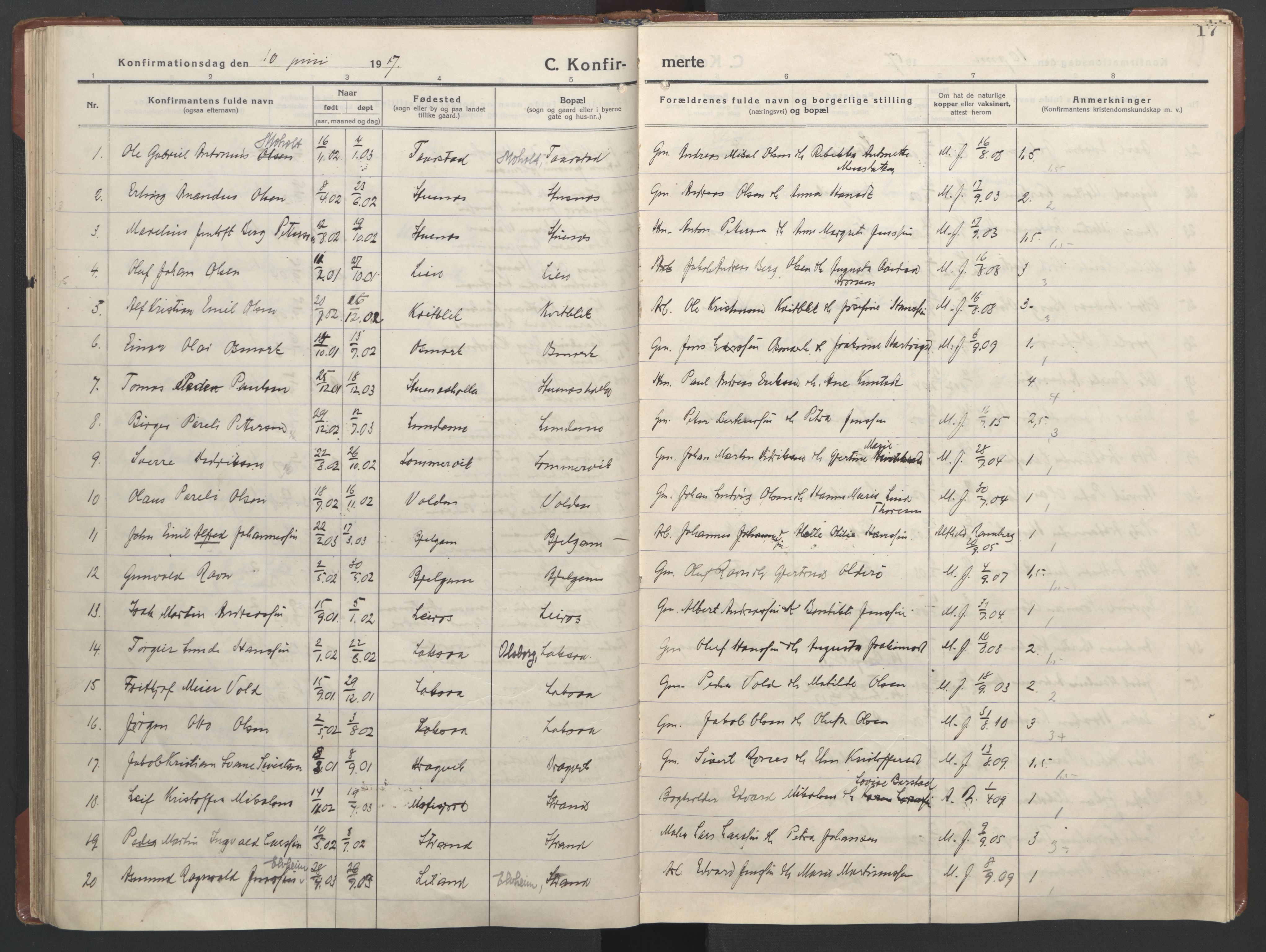 Ministerialprotokoller, klokkerbøker og fødselsregistre - Nordland, AV/SAT-A-1459/863/L0918: Klokkerbok nr. 863C08, 1906-1921, s. 17