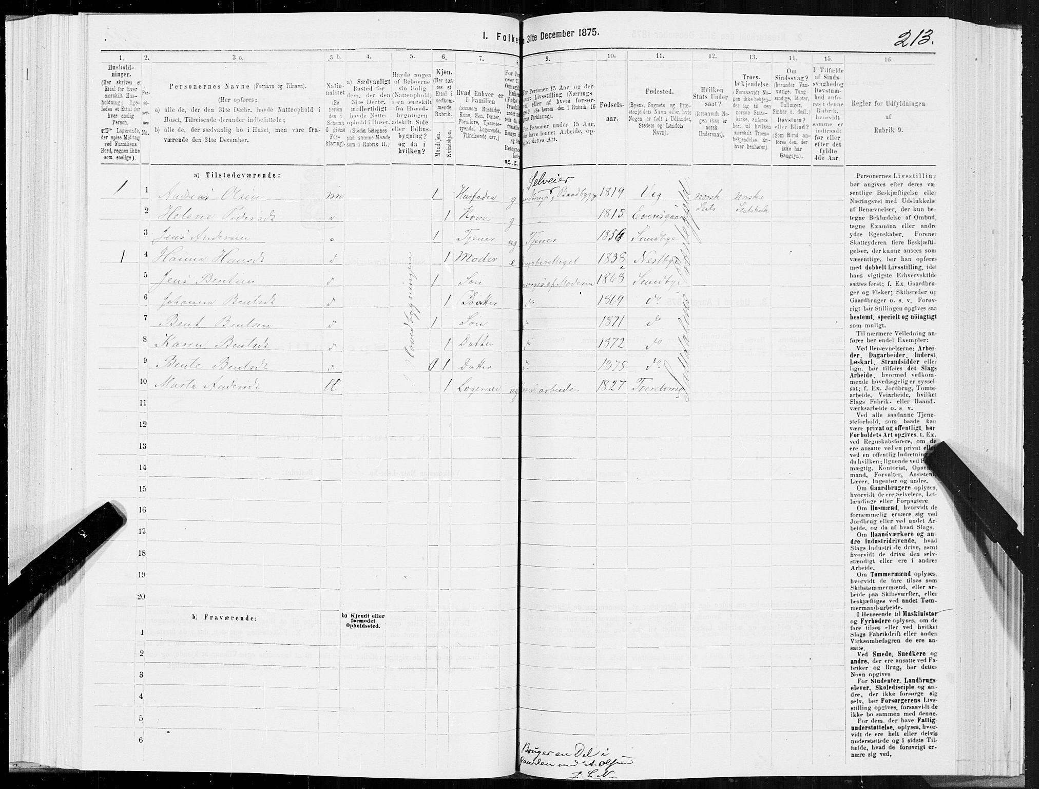 SAT, Folketelling 1875 for 1840P Saltdal prestegjeld, 1875, s. 1213
