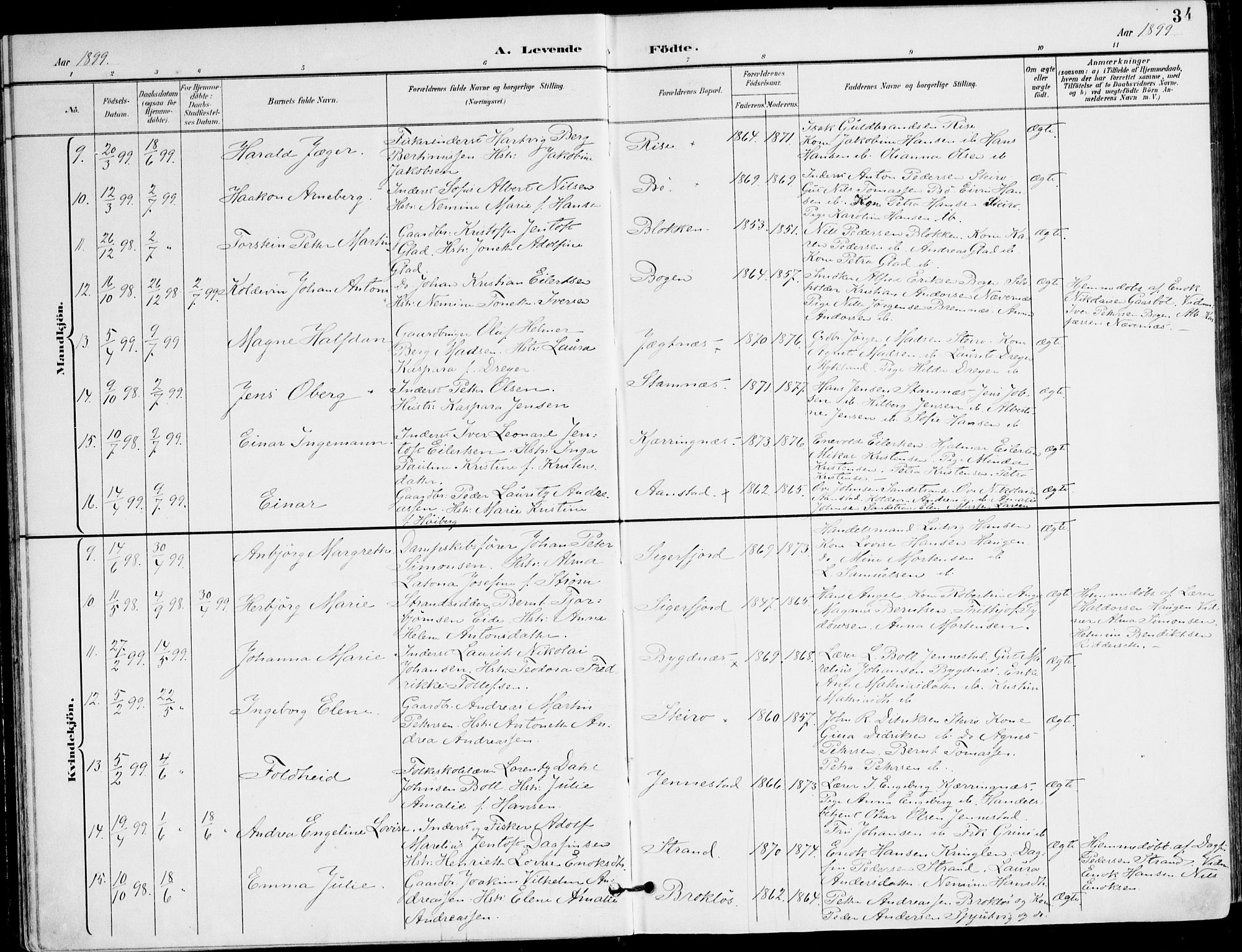 Ministerialprotokoller, klokkerbøker og fødselsregistre - Nordland, AV/SAT-A-1459/895/L1372: Ministerialbok nr. 895A07, 1894-1914, s. 34