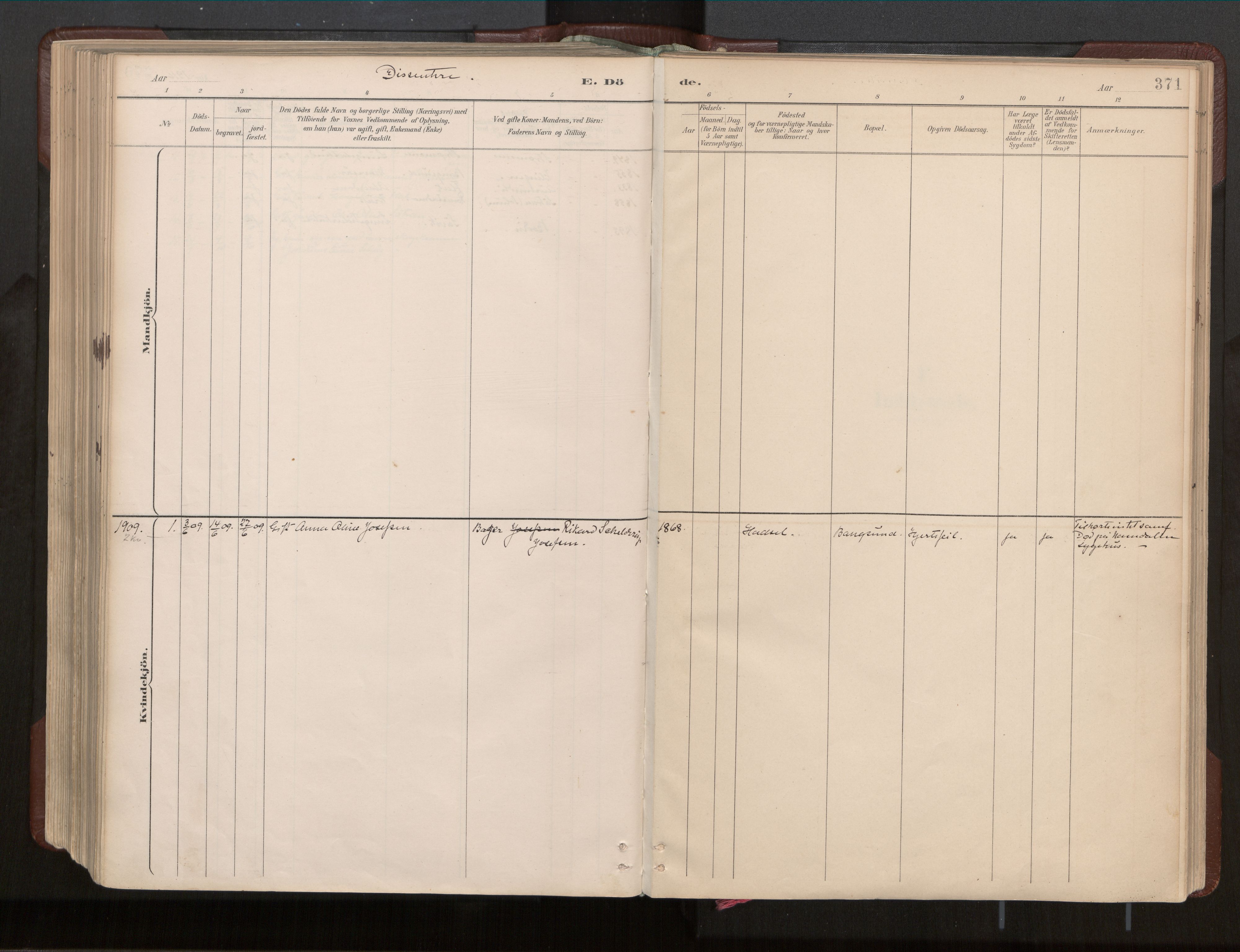 Ministerialprotokoller, klokkerbøker og fødselsregistre - Nord-Trøndelag, SAT/A-1458/770/L0589: Ministerialbok nr. 770A03, 1887-1929, s. 371