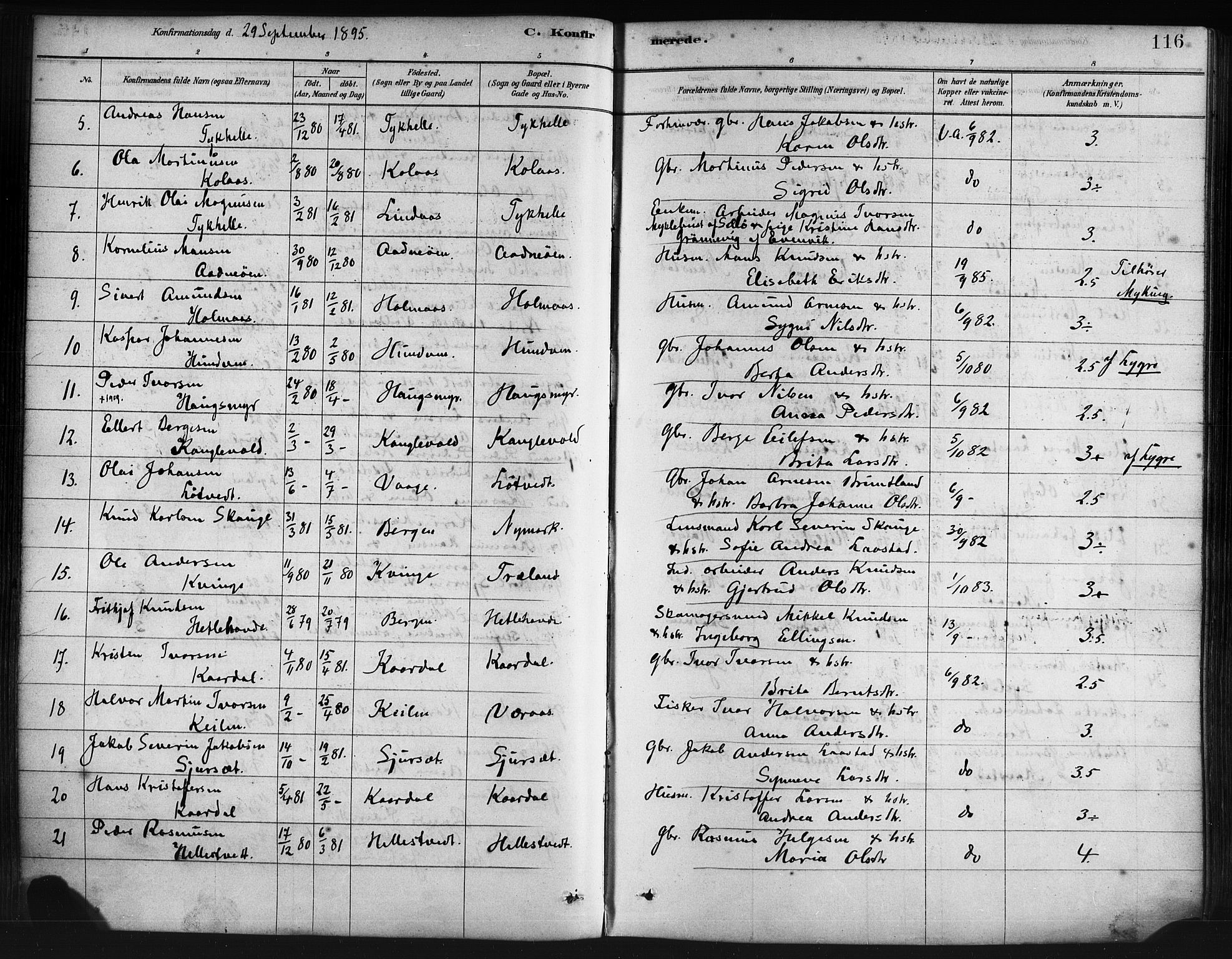 Lindås Sokneprestembete, AV/SAB-A-76701/H/Haa/Haaa/L0019: Ministerialbok nr. A 19, 1878-1912, s. 116