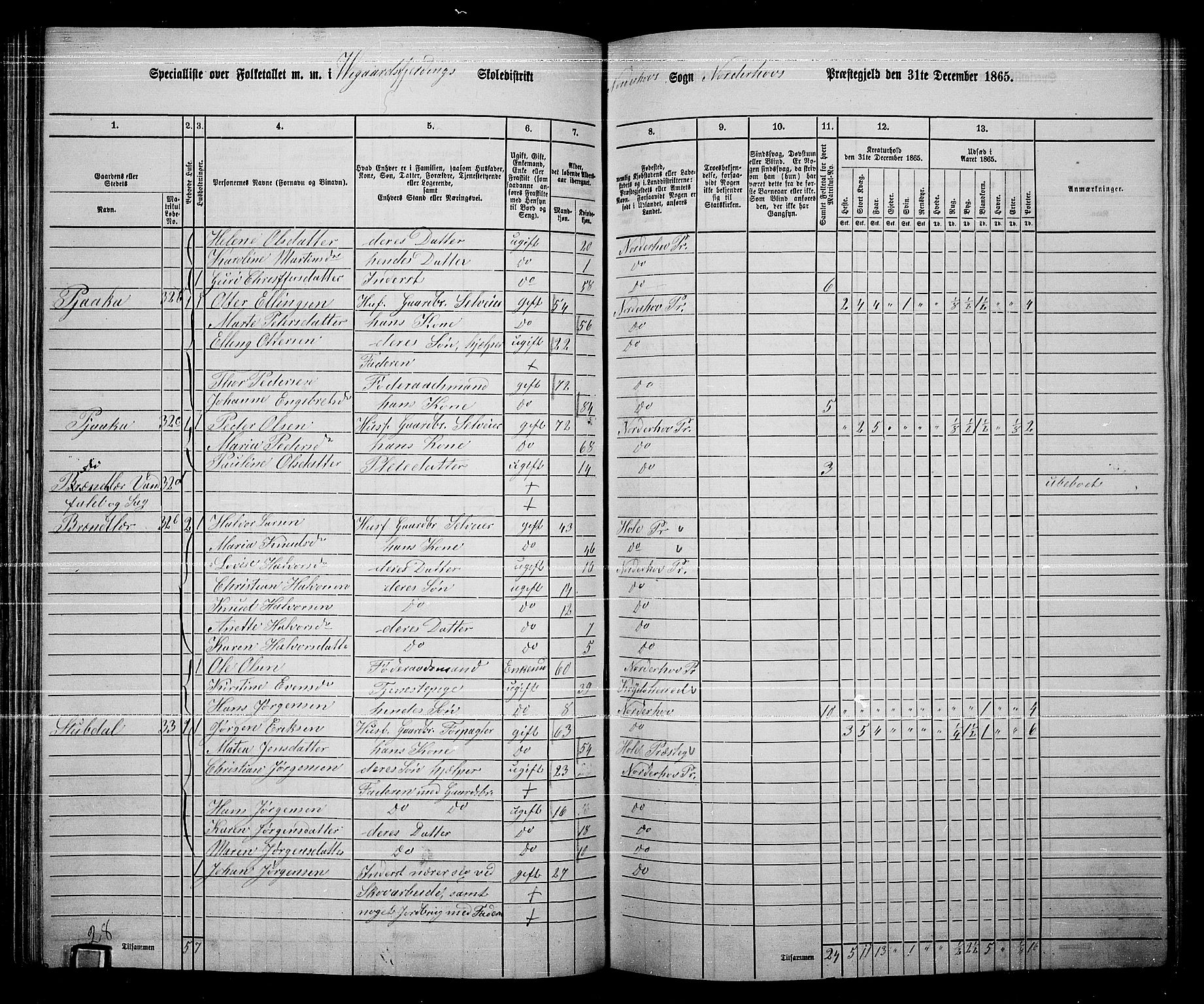 RA, Folketelling 1865 for 0613L Norderhov prestegjeld, Norderhov sokn, Haug sokn og Lunder sokn, 1865, s. 120