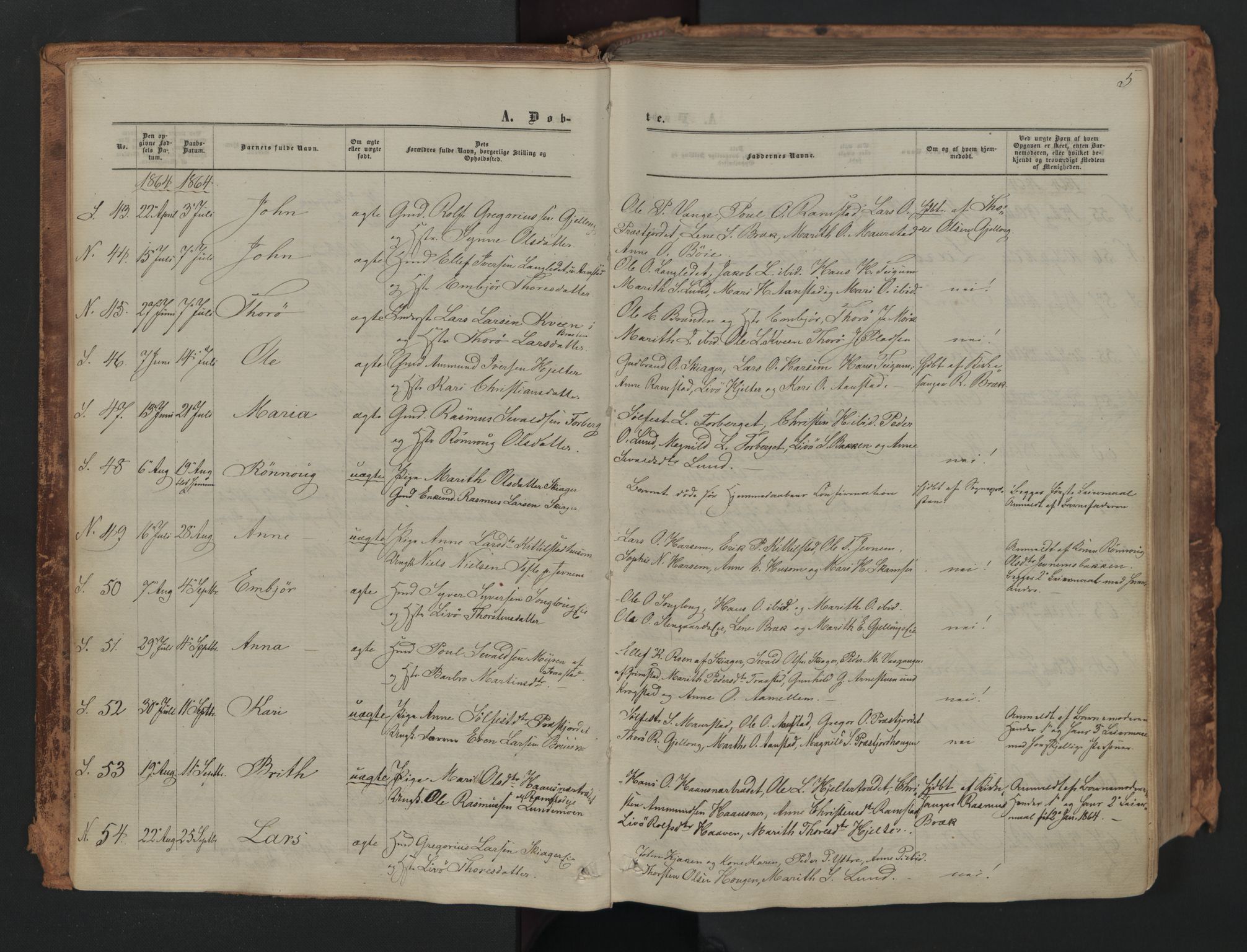 Skjåk prestekontor, SAH/PREST-072/H/Ha/Haa/L0001: Ministerialbok nr. 1, 1863-1879, s. 5