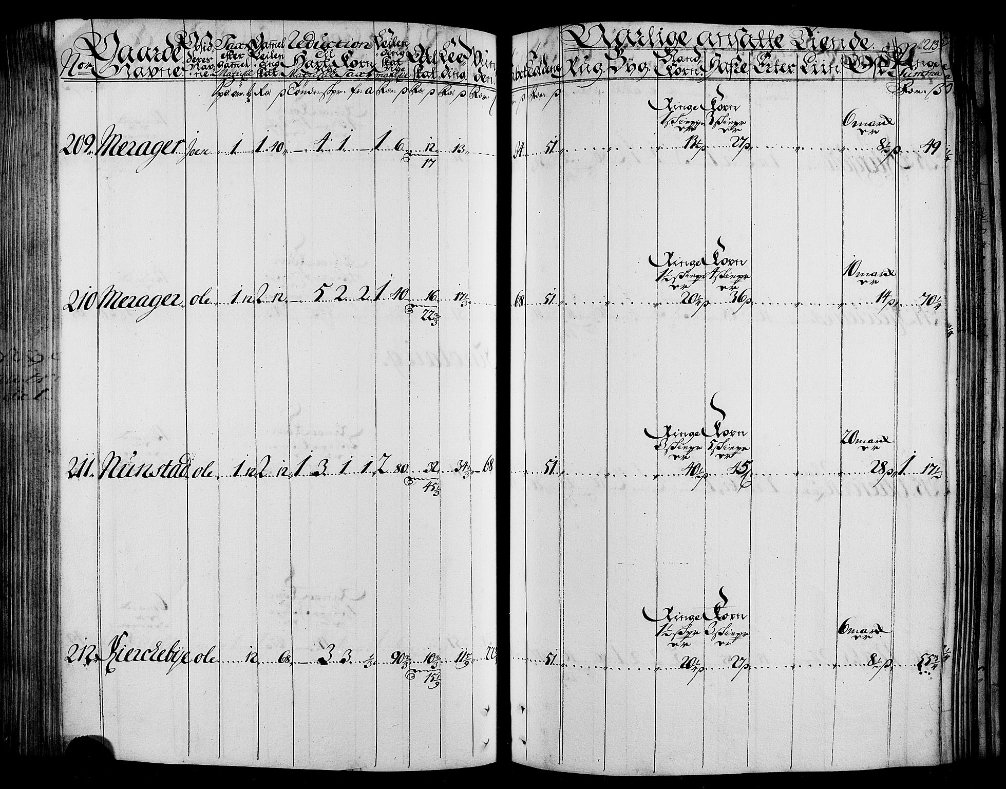 Rentekammeret inntil 1814, Realistisk ordnet avdeling, RA/EA-4070/N/Nb/Nbf/L0165: Stjørdal og Verdal matrikkelprotokoll, 1723, s. 217