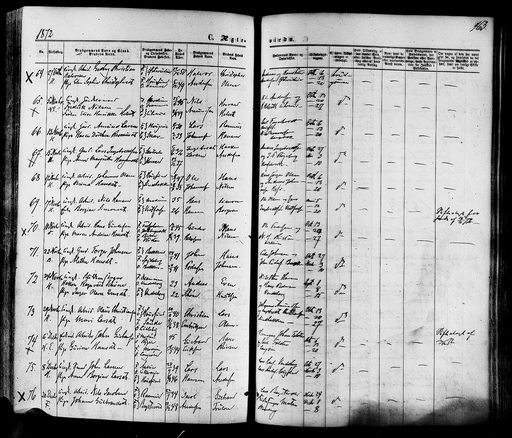 Eiker kirkebøker, AV/SAKO-A-4/F/Fa/L0017: Ministerialbok nr. I 17, 1869-1877, s. 463