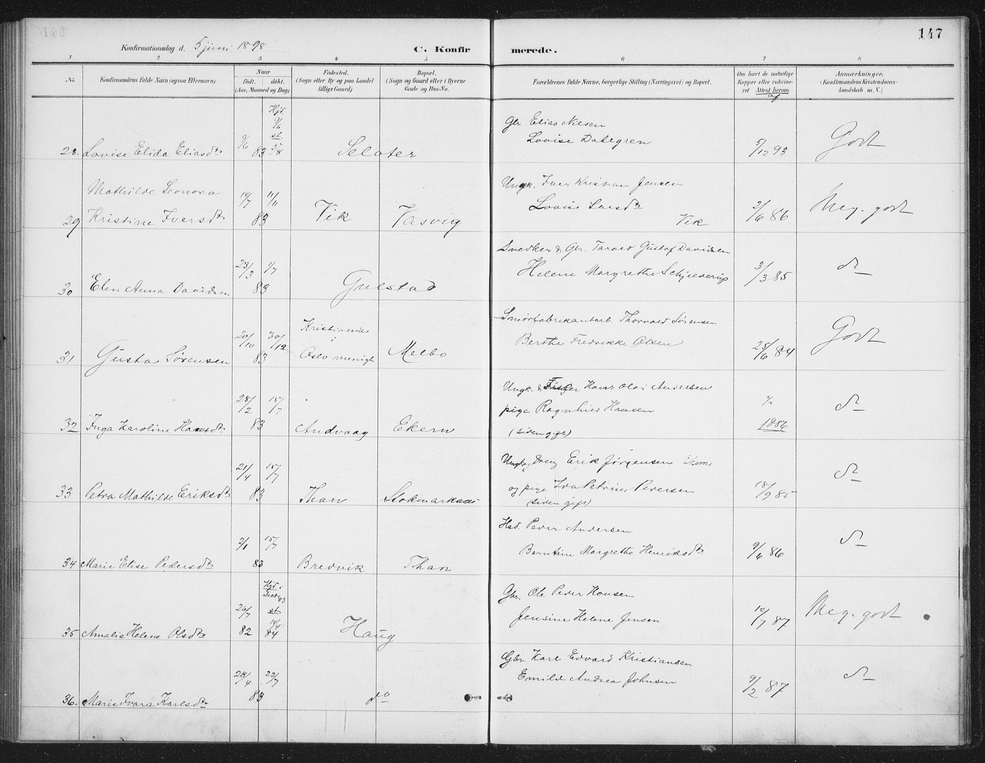 Ministerialprotokoller, klokkerbøker og fødselsregistre - Nordland, AV/SAT-A-1459/888/L1245: Ministerialbok nr. 888A11, 1888-1900, s. 147