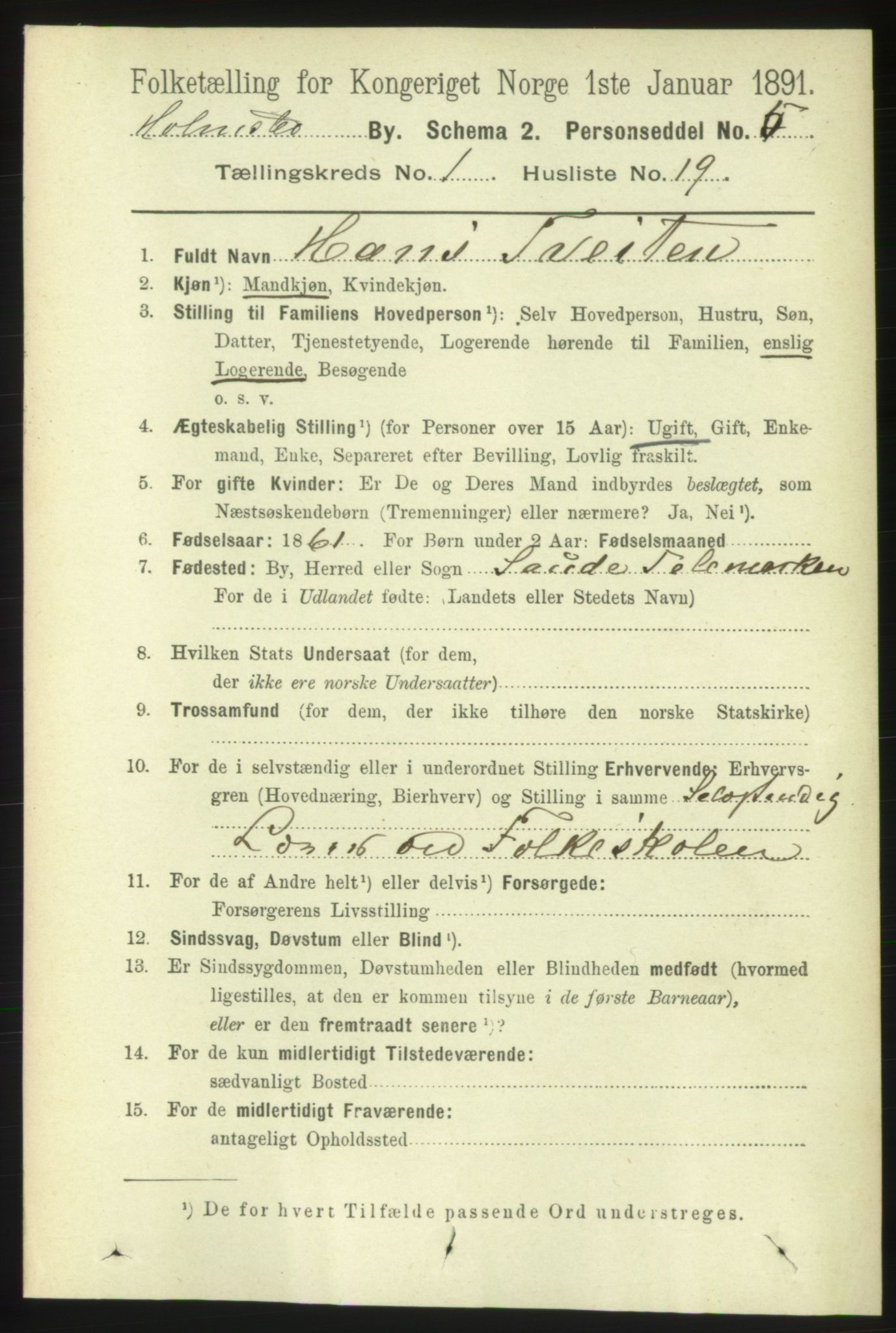 RA, Folketelling 1891 for 0603 Holmsbu ladested, 1891, s. 313