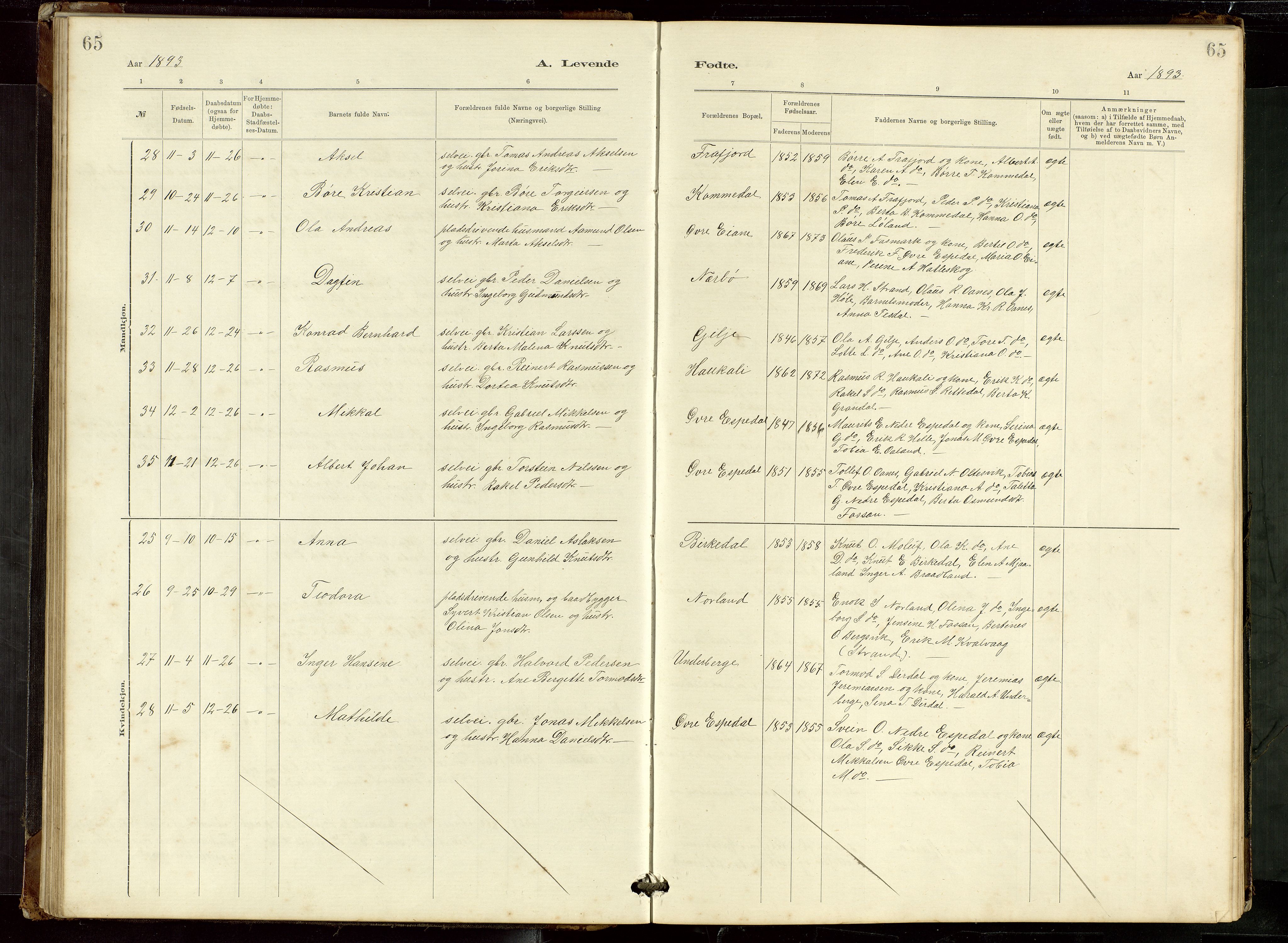 Høgsfjord sokneprestkontor, AV/SAST-A-101624/H/Ha/Hab/L0009: Klokkerbok nr. B 9, 1883-1920, s. 65