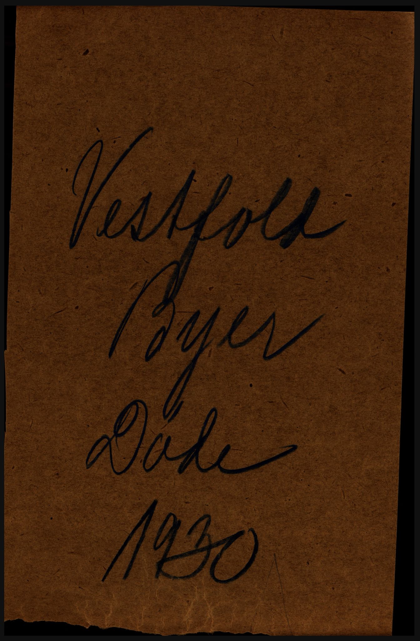 Statistisk sentralbyrå, Sosiodemografiske emner, Befolkning, AV/RA-S-2228/D/Df/Dfc/Dfcj/L0017: Vestfold. Telemark, 1930, s. 101