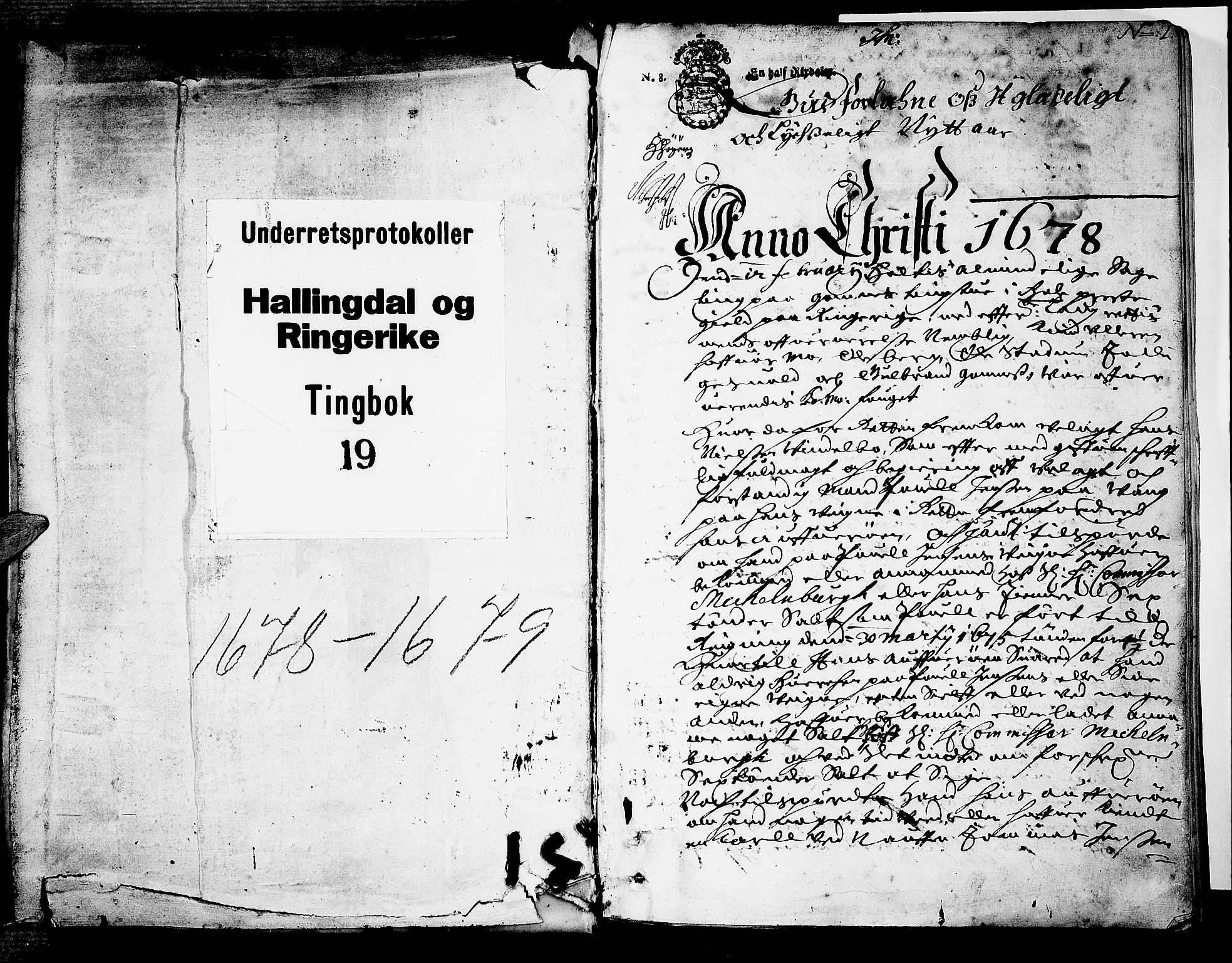 Ringerike og Hallingdal sorenskriveri, SAKO/A-81/F/Fa/Faa/L0014: Tingbok, 1678-1679, s. 1