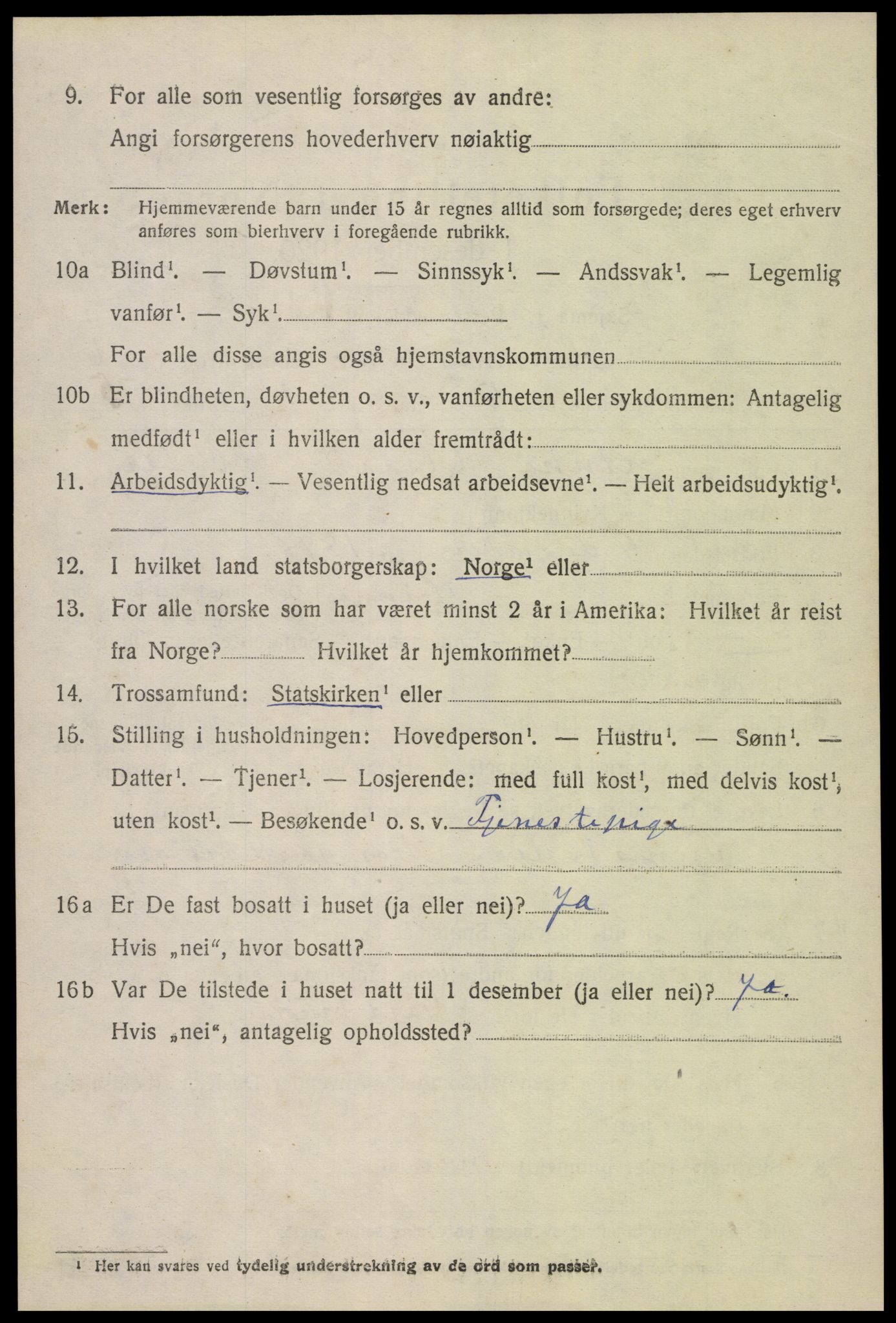SAK, Folketelling 1920 for 0936 Hornnes herred, 1920, s. 1610