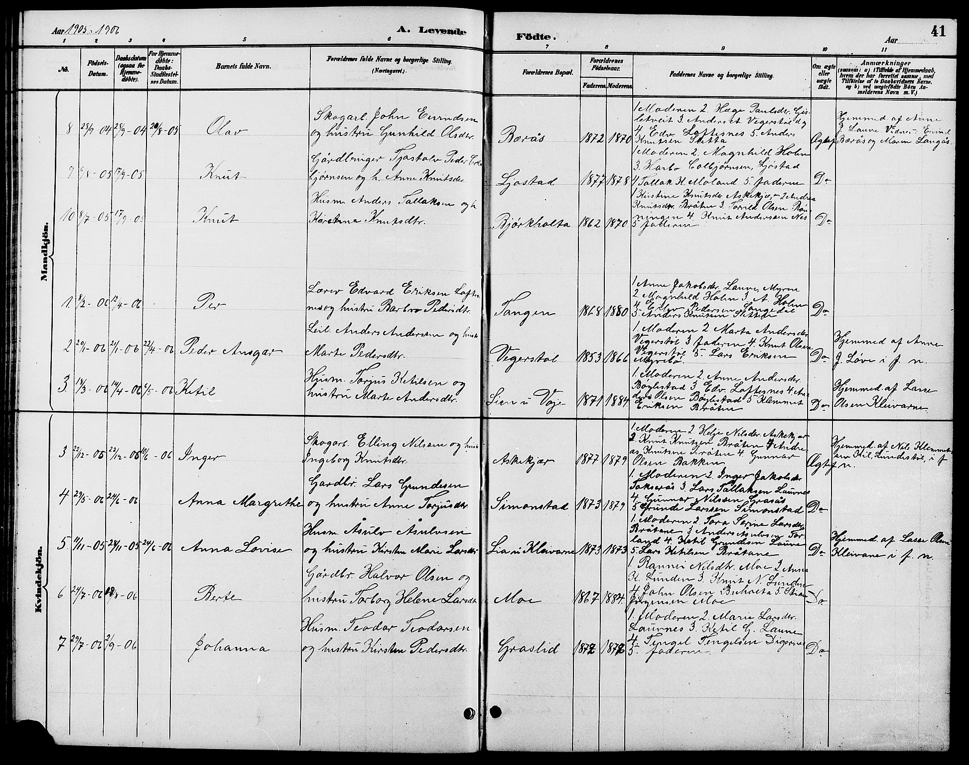 Gjerstad sokneprestkontor, AV/SAK-1111-0014/F/Fb/Fbb/L0004: Klokkerbok nr. B 4, 1890-1910, s. 41