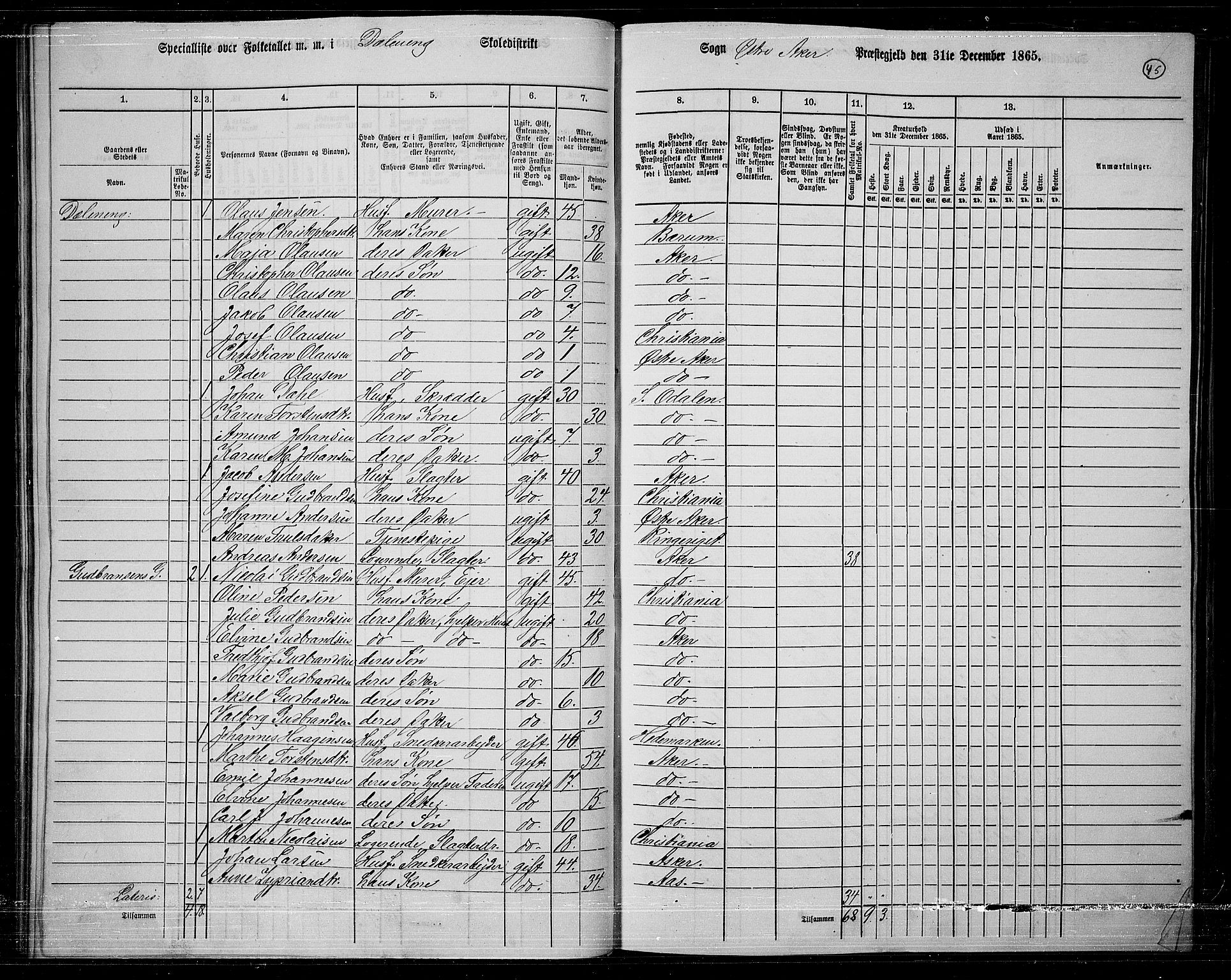 RA, Folketelling 1865 for 0218bP Østre Aker prestegjeld, 1865, s. 42