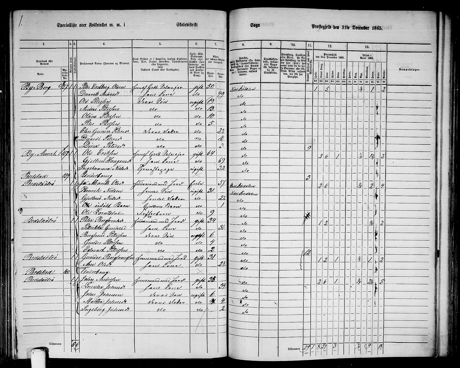 RA, Folketelling 1865 for 1714P Nedre Stjørdal prestegjeld, 1865, s. 202