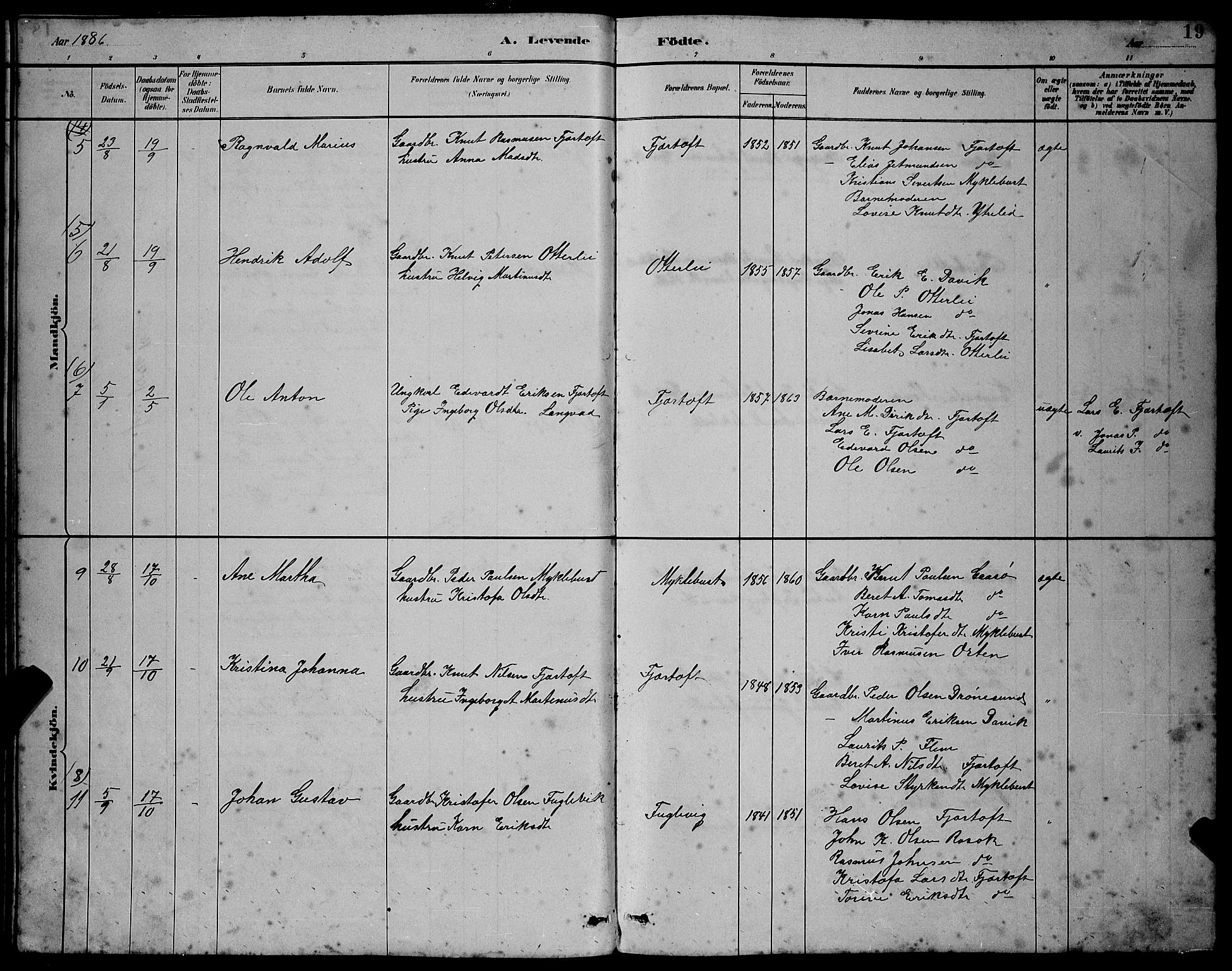 Ministerialprotokoller, klokkerbøker og fødselsregistre - Møre og Romsdal, AV/SAT-A-1454/538/L0523: Klokkerbok nr. 538C01, 1881-1900, s. 19