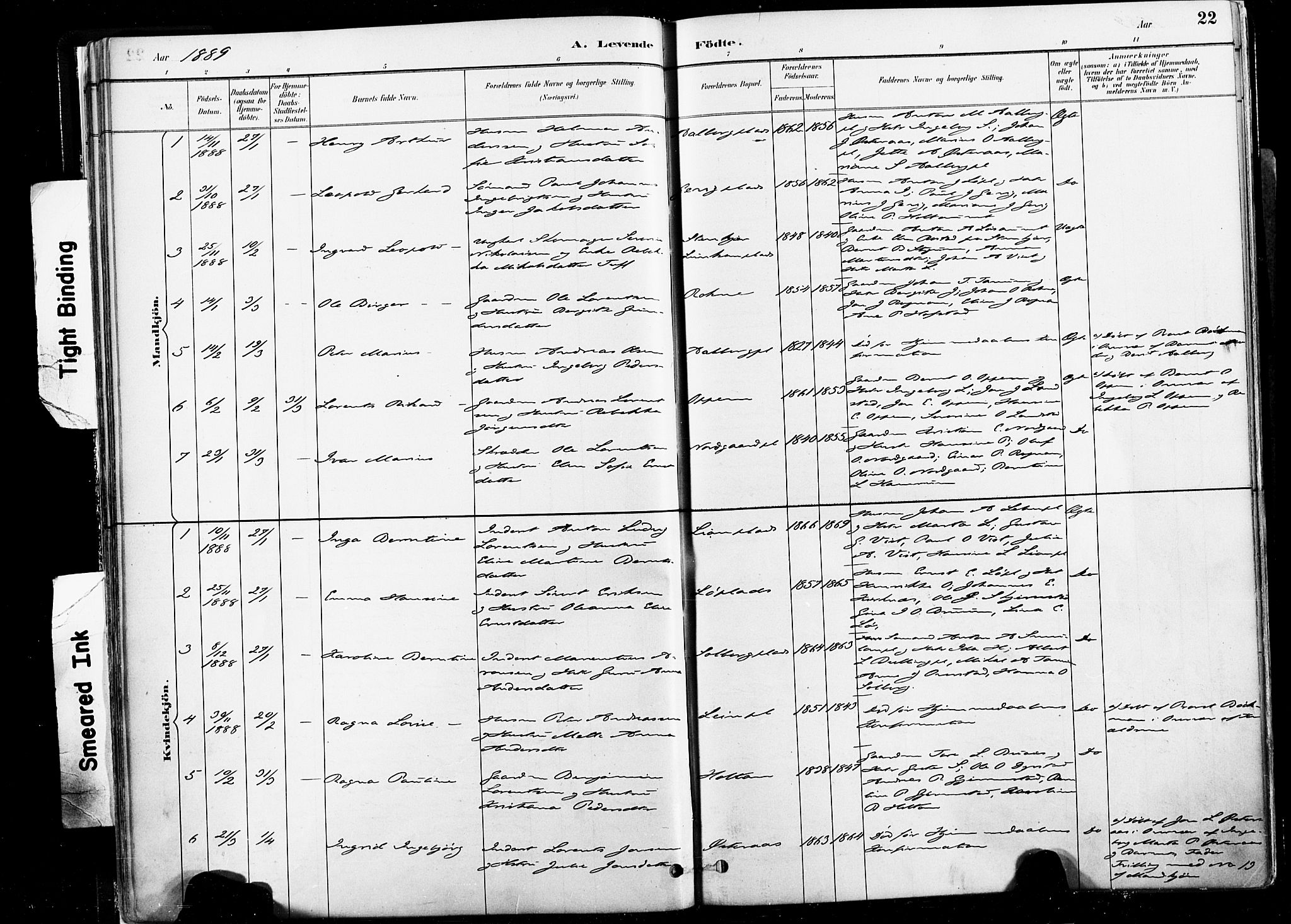 Ministerialprotokoller, klokkerbøker og fødselsregistre - Nord-Trøndelag, SAT/A-1458/735/L0351: Ministerialbok nr. 735A10, 1884-1908, s. 22