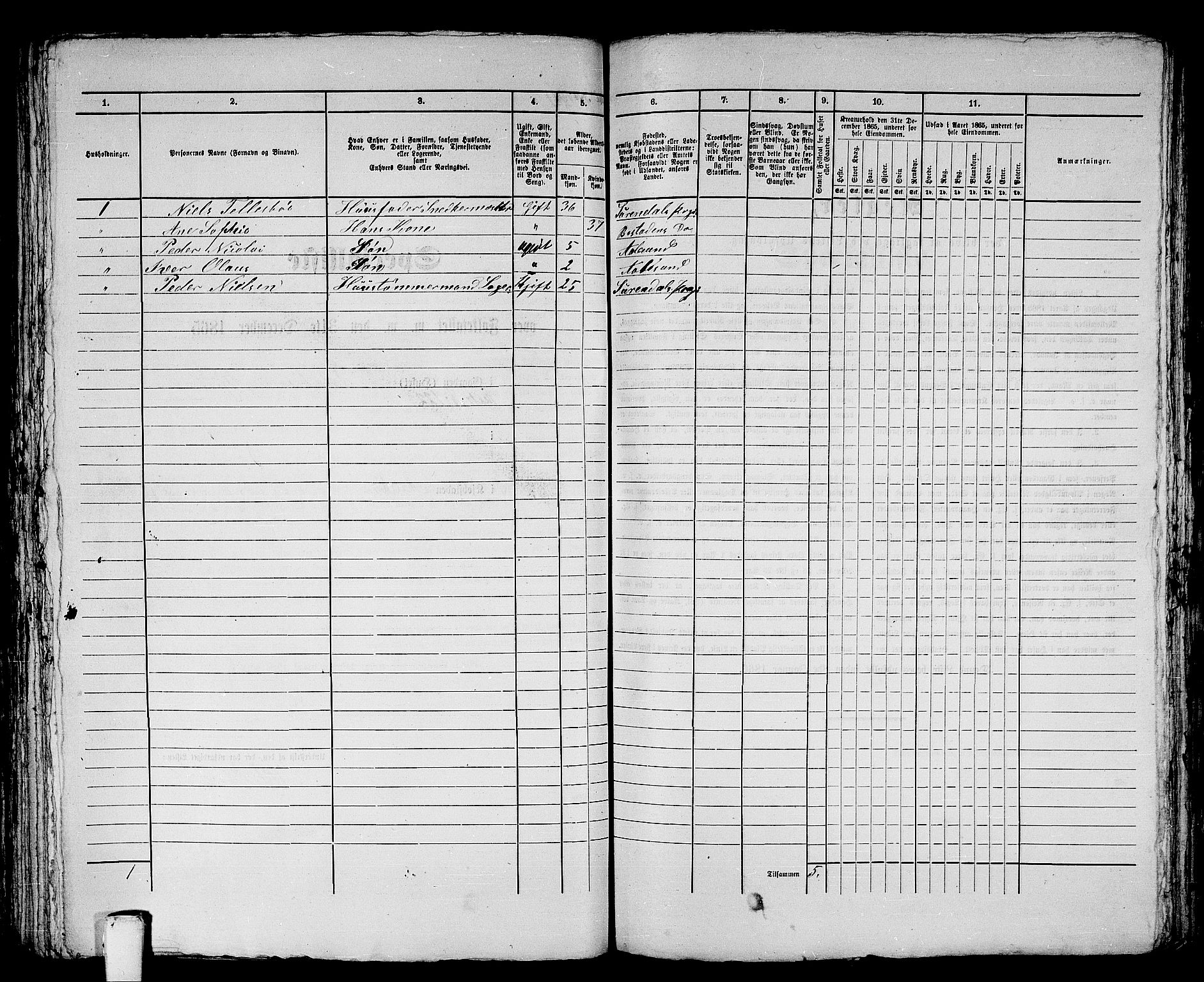 RA, Folketelling 1865 for 1501P Ålesund prestegjeld, 1865, s. 336